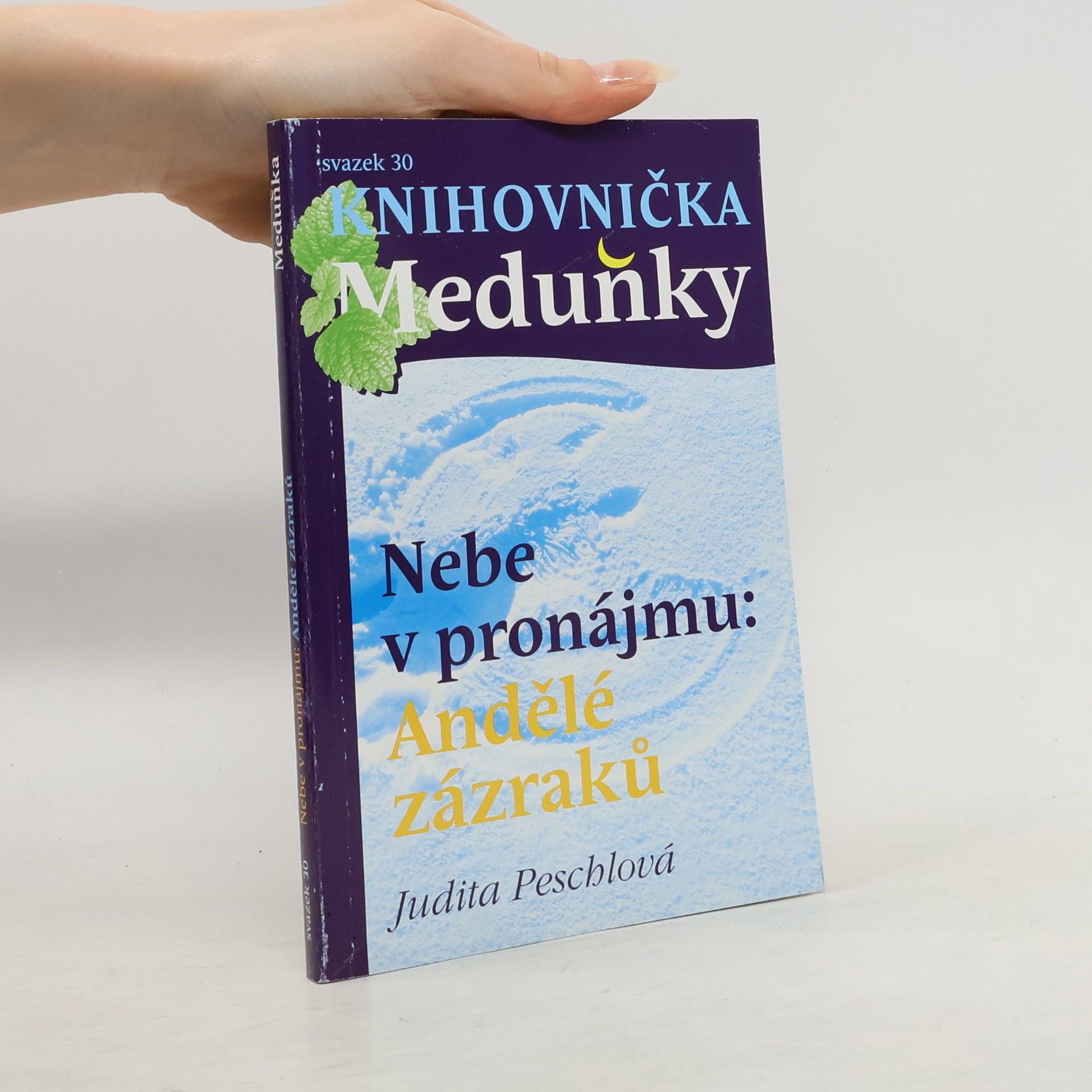 Nebe v pronájmu. Andělé zázraků