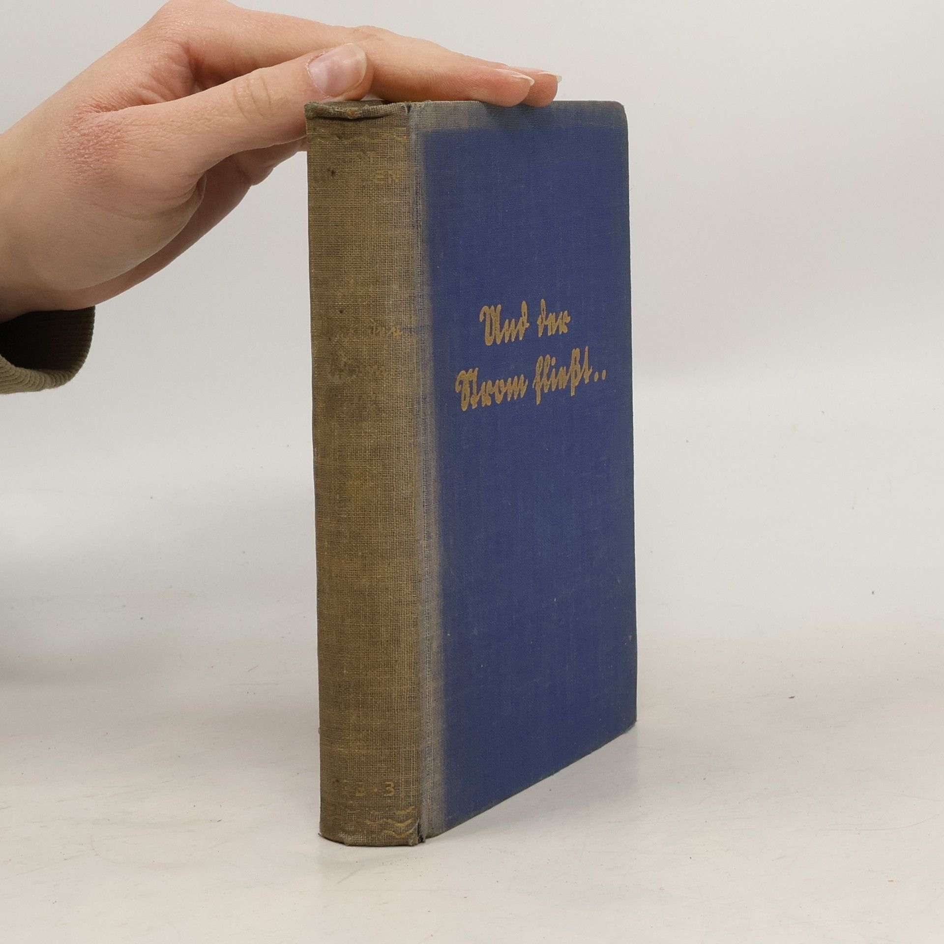 Gert Luithlen Und der Strom fließt...