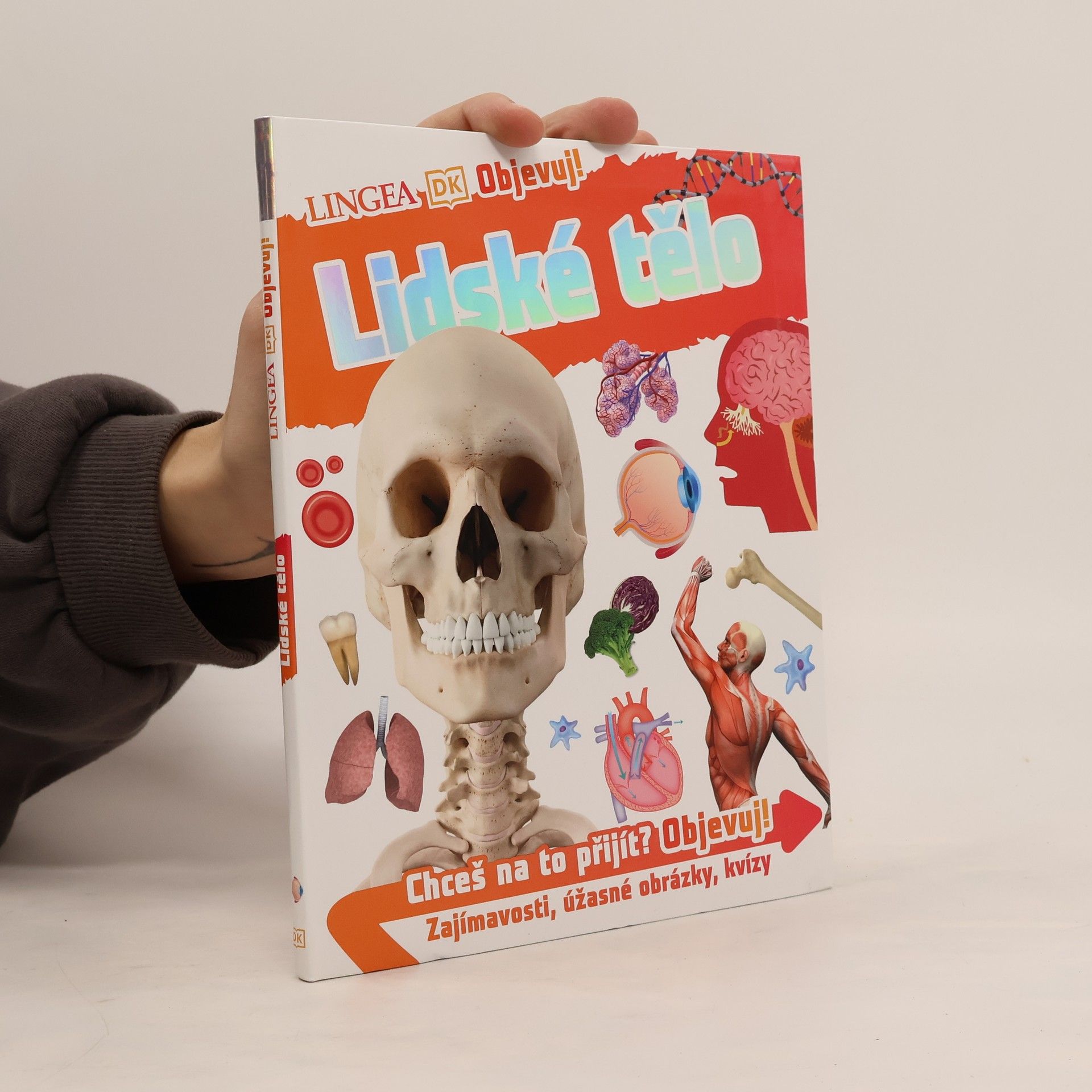 Autorenkollektiv Objevuj! Lidské tělo