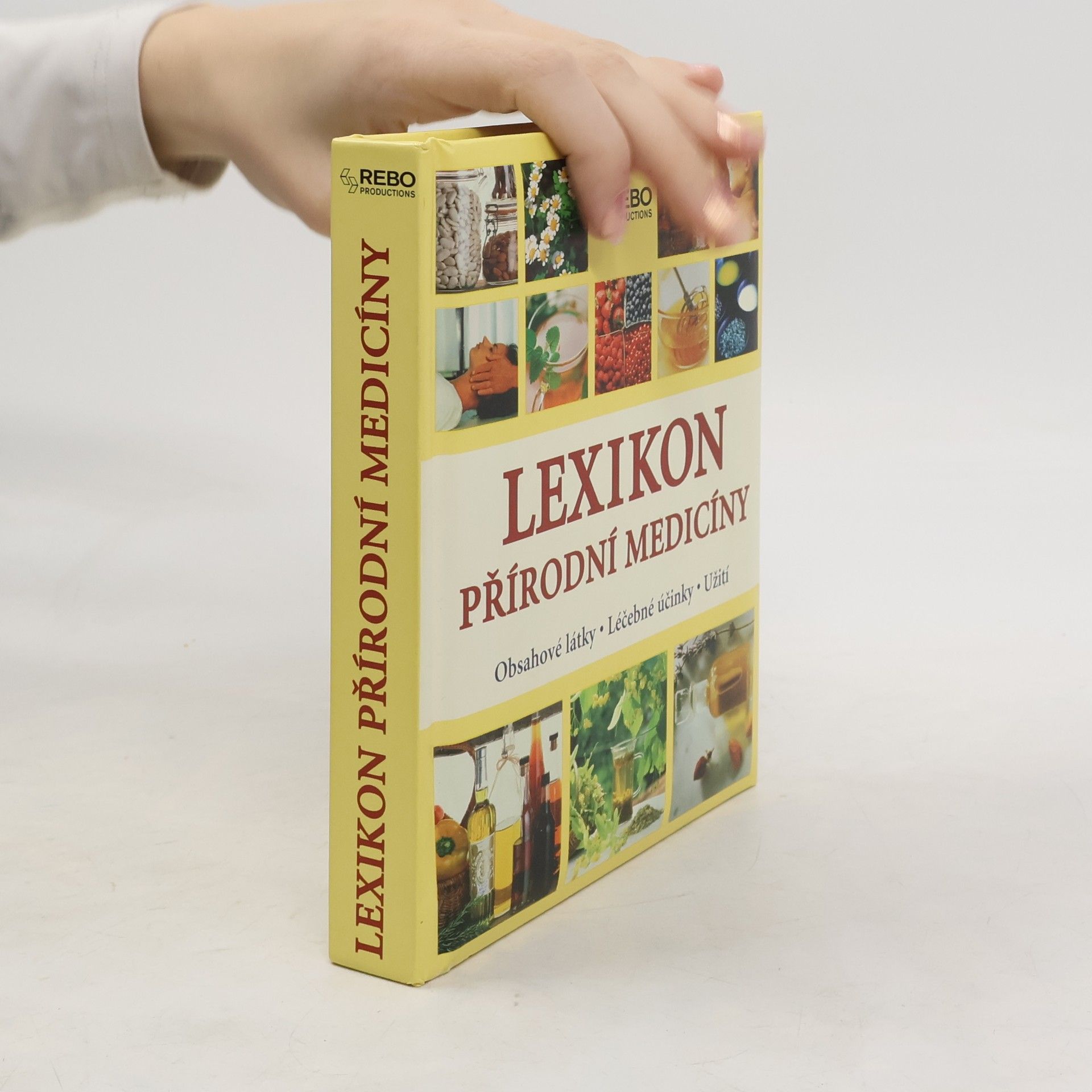 Anne Iburg Lexikon přírodní medicíny