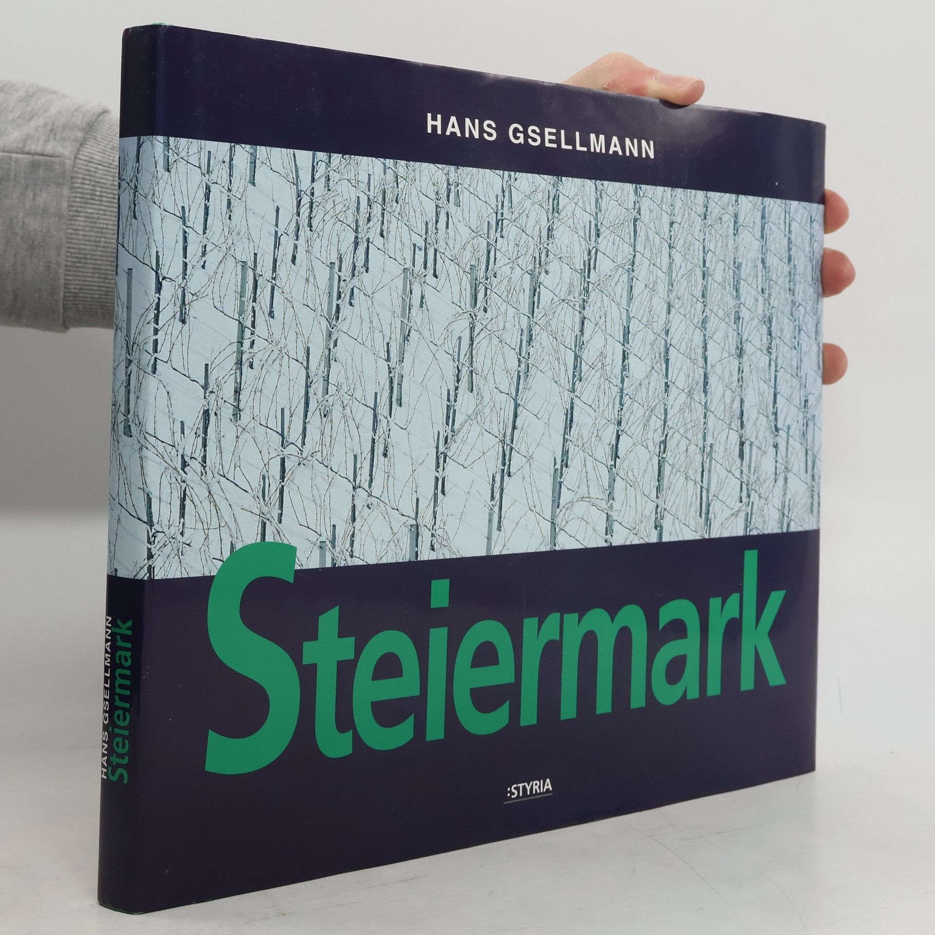 Hans Gsellmann Steiermark
