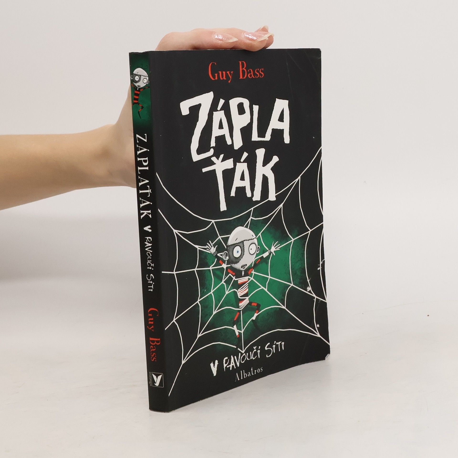 Guy Bass Záplaťák v pavoučí síti