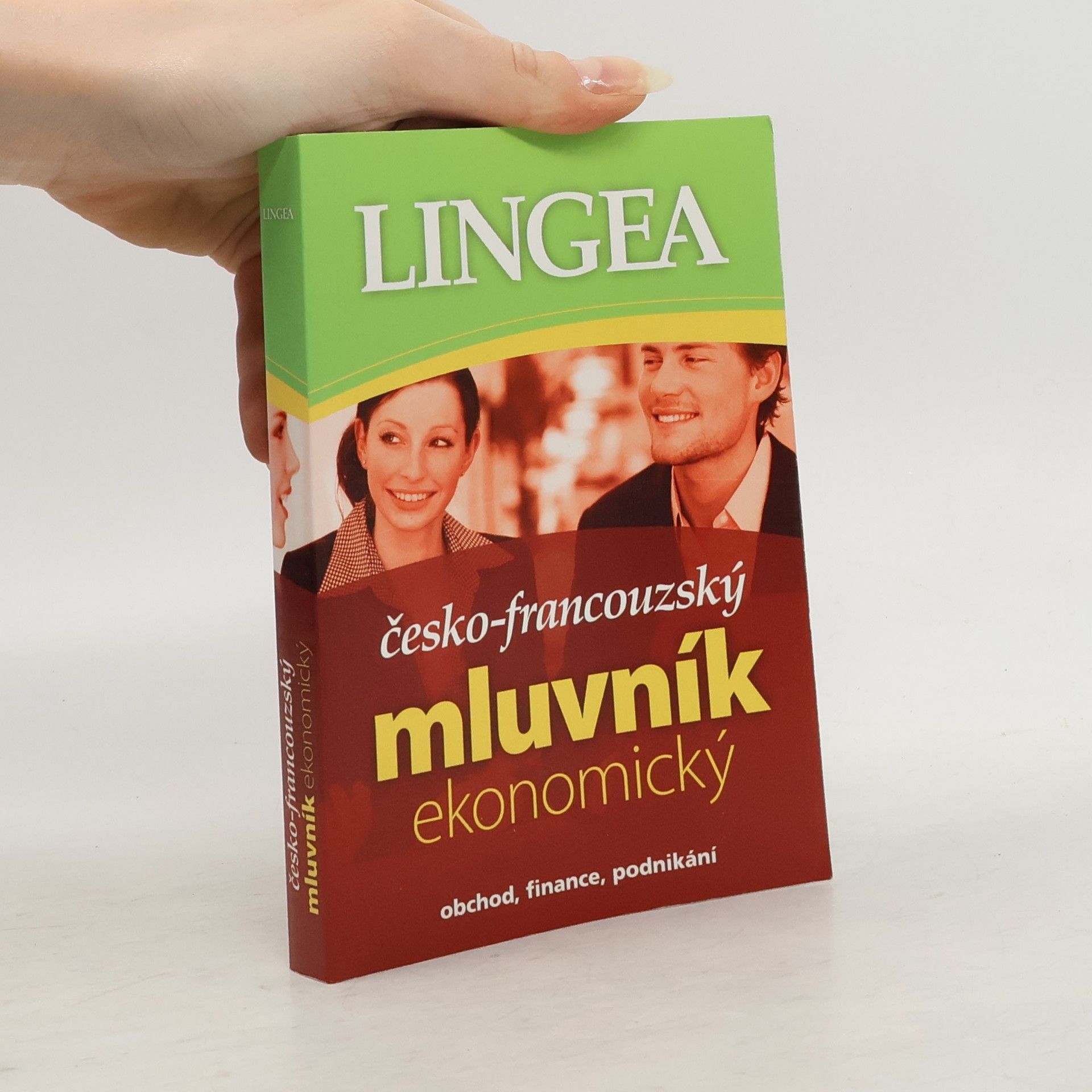 Collectif d'auteurs Česko-francouzský mluvník ekonomický