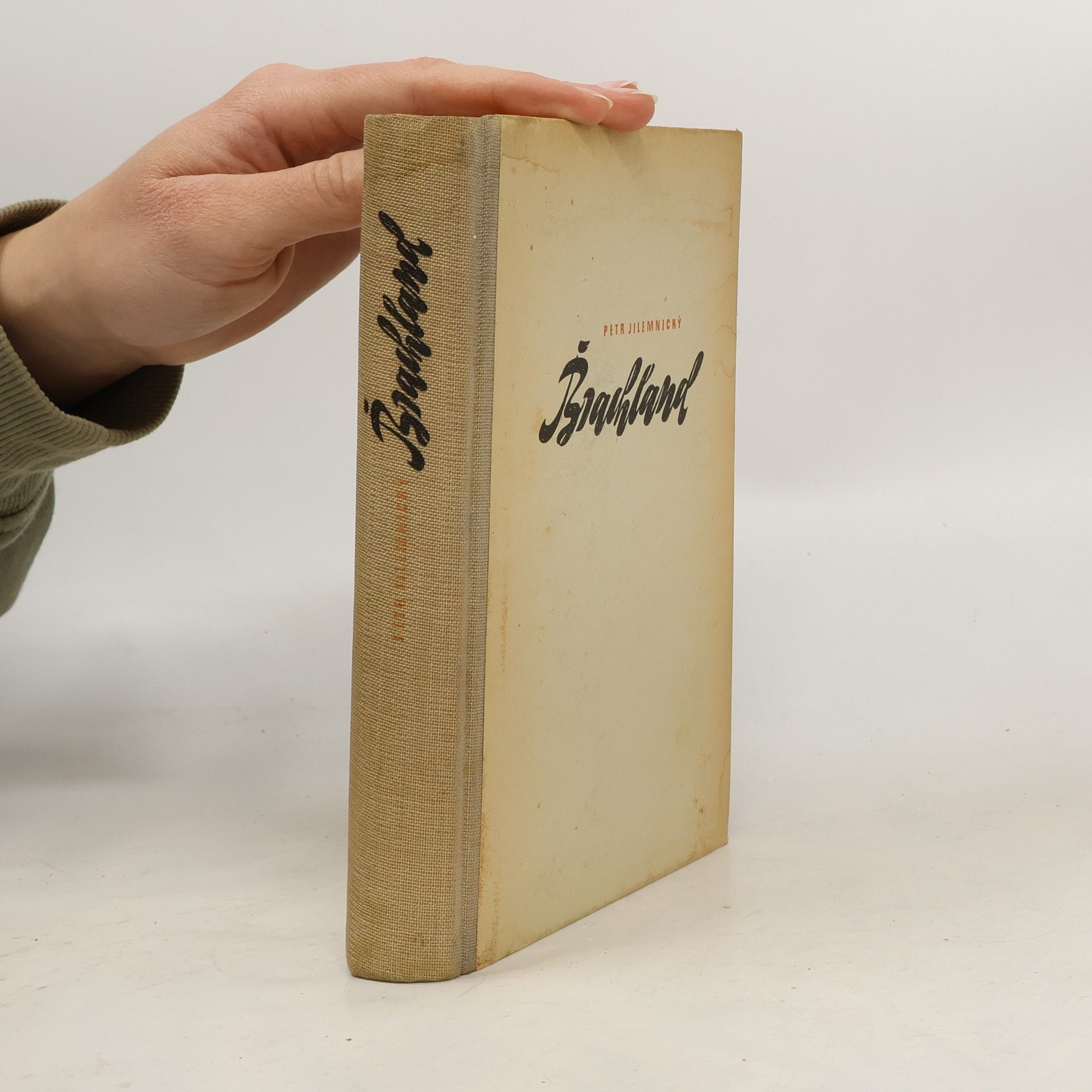 Jilemnický Petr Brachland