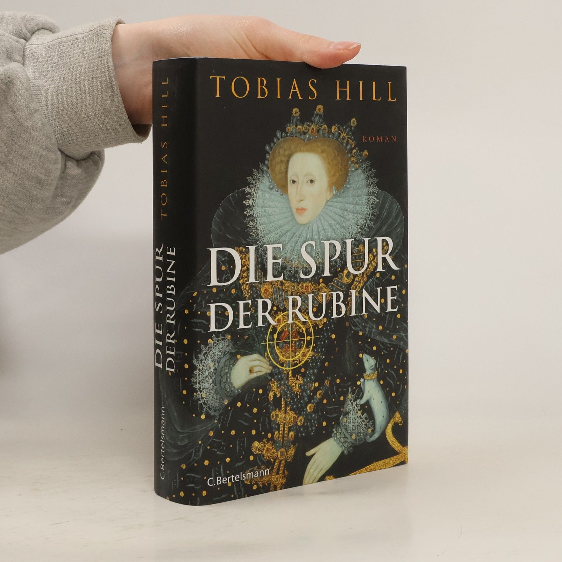 Tobias Hill Die Spur der Rubine