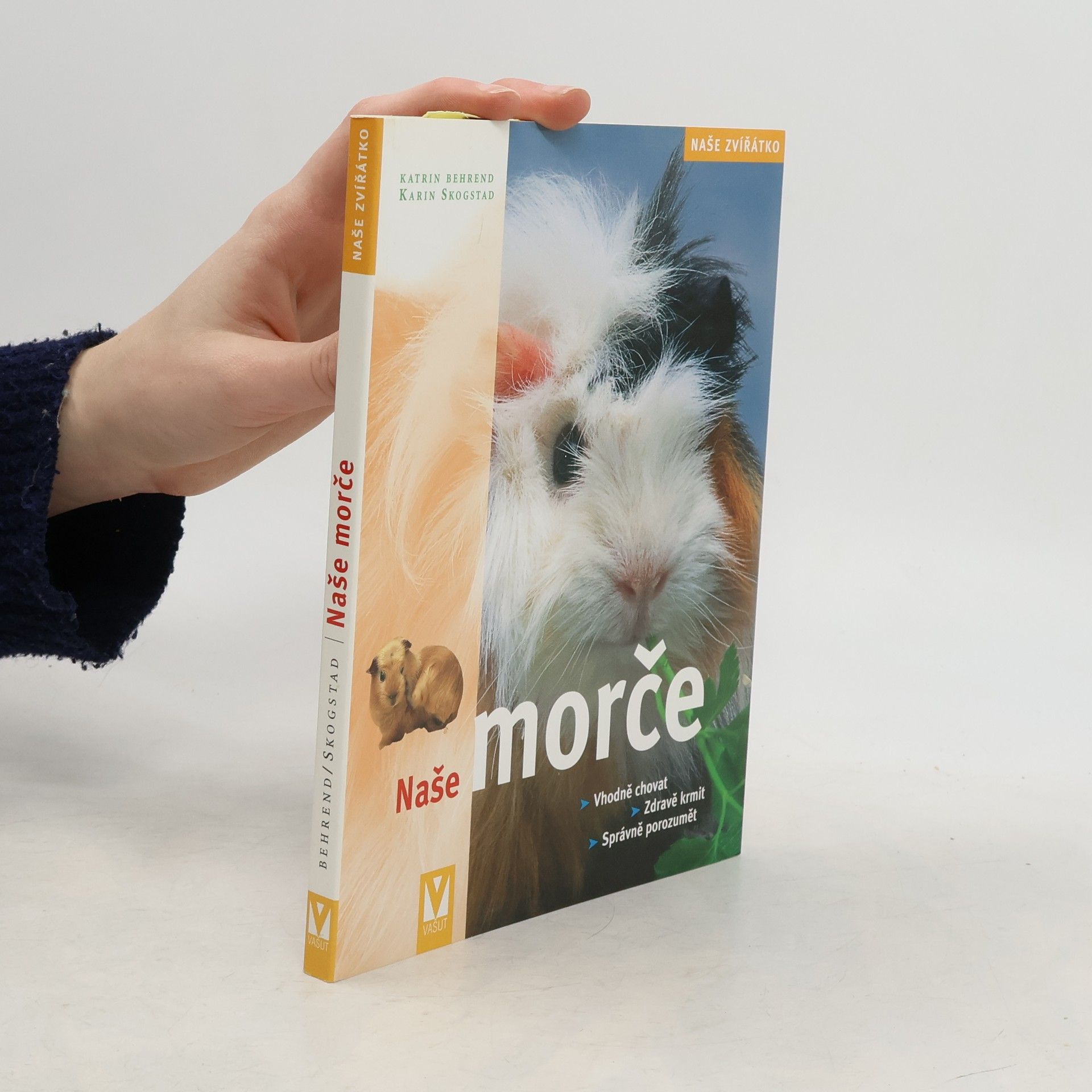 Naše morče: Vhodná péče, zdravá strava, správné porozumění