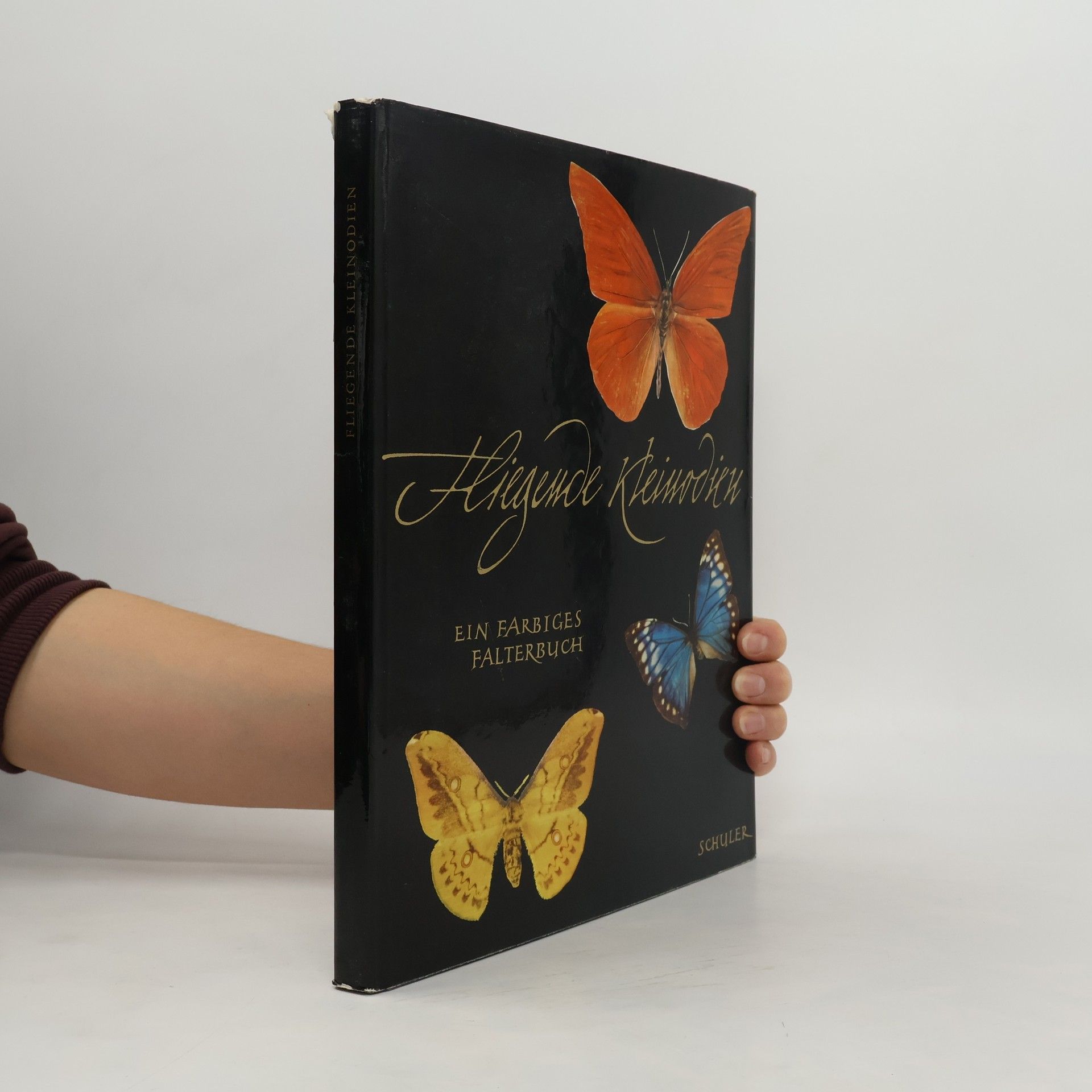 J. E. Schuler Fliegende Kleinodien