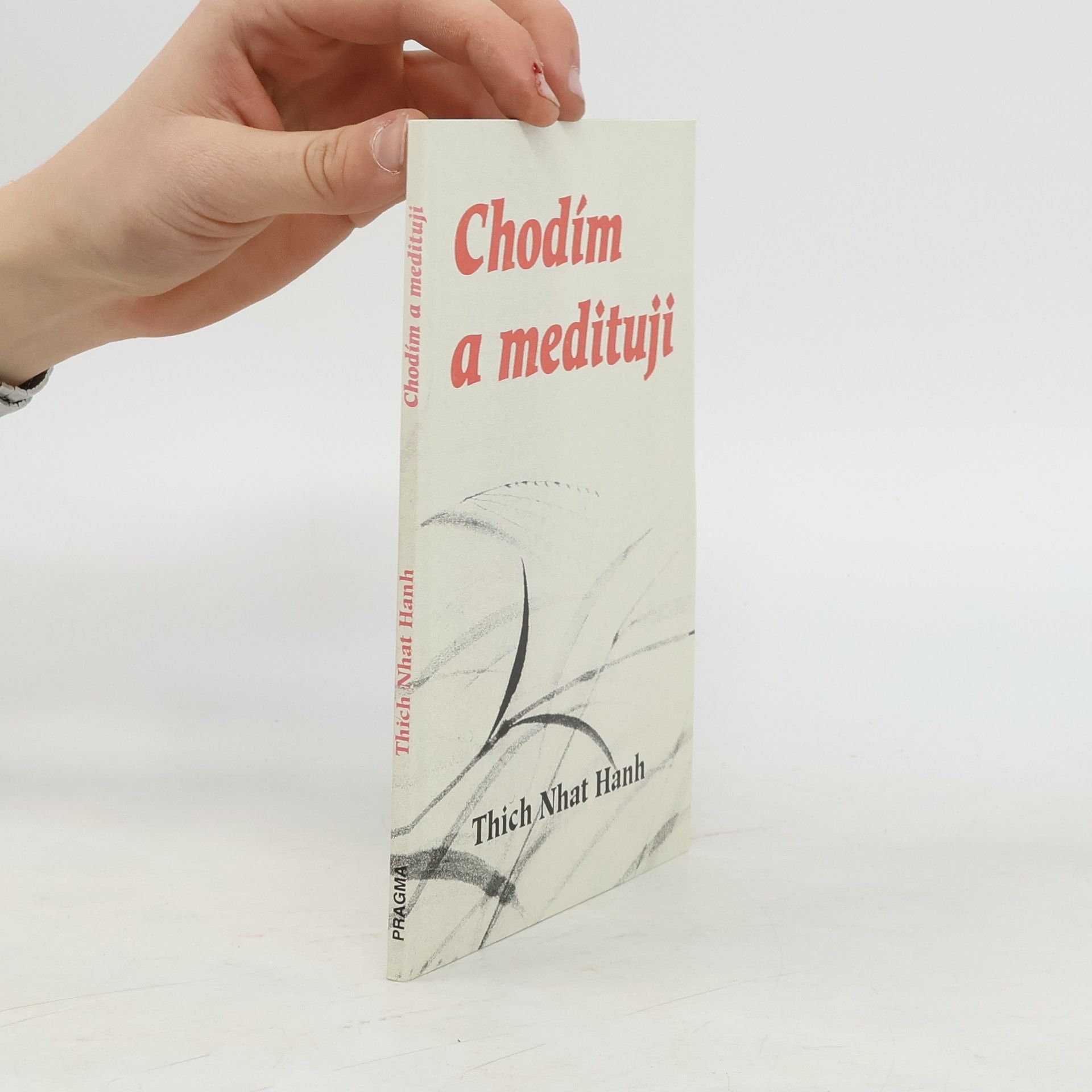 Hạnh Nhat Chodím a medituji