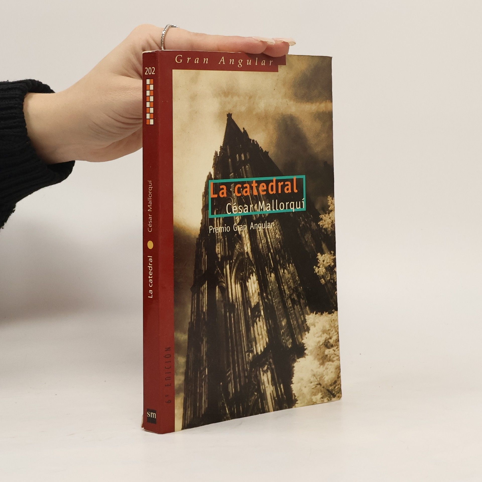 César Mallorquí La catedral
