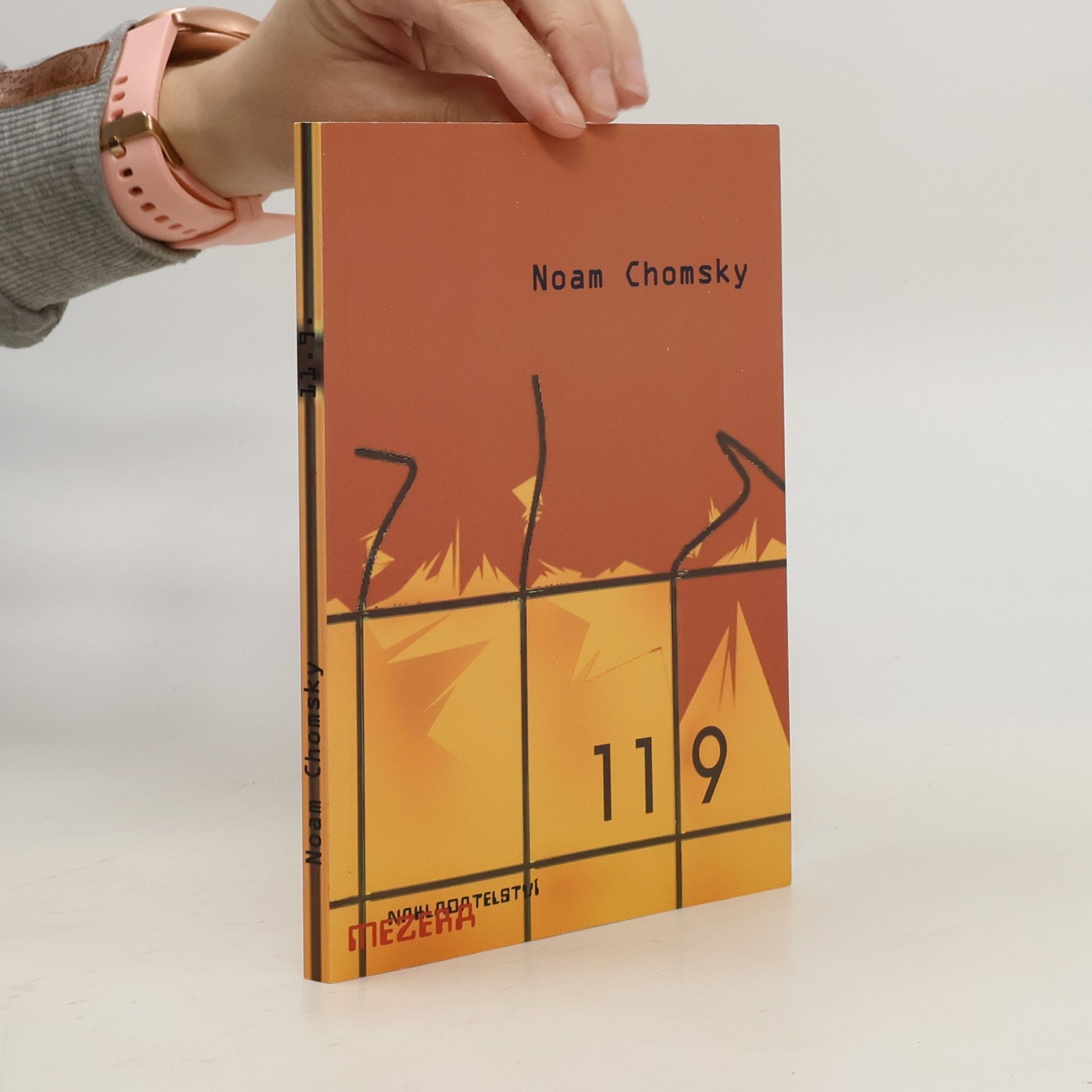 Noam Chomsky Moc a teror