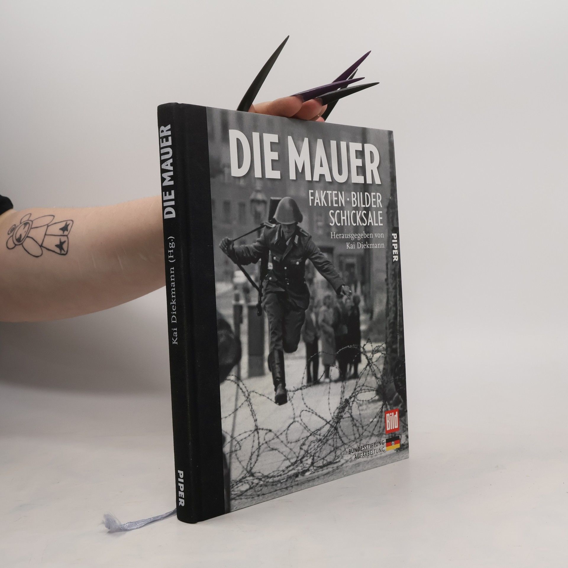 Kai Diekmann Die Mauer