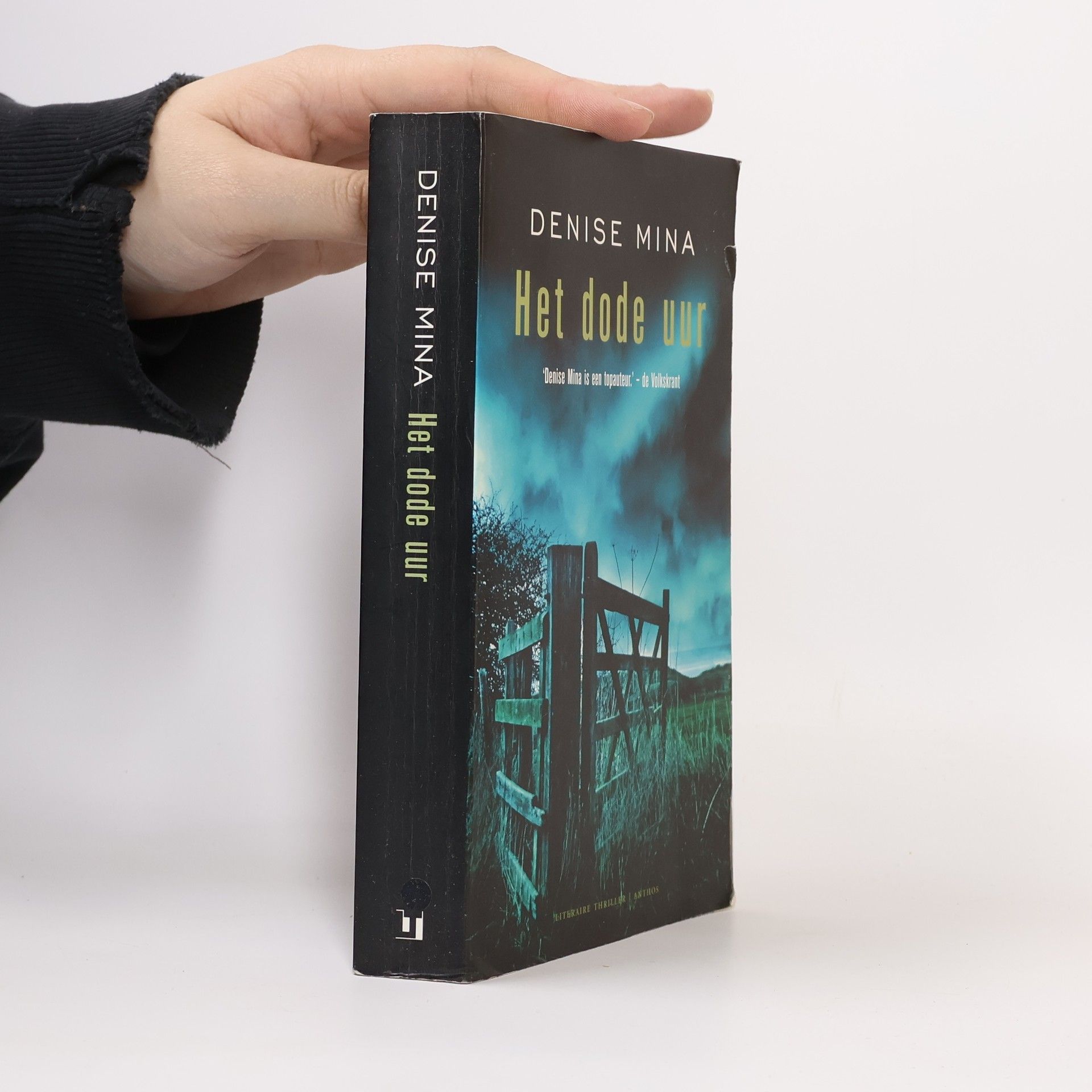 Denise Mina Het dode uur