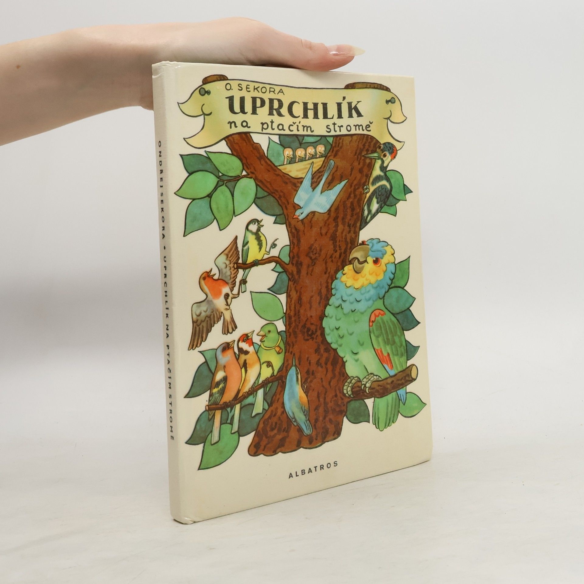 Uprchlík na ptačím stromě