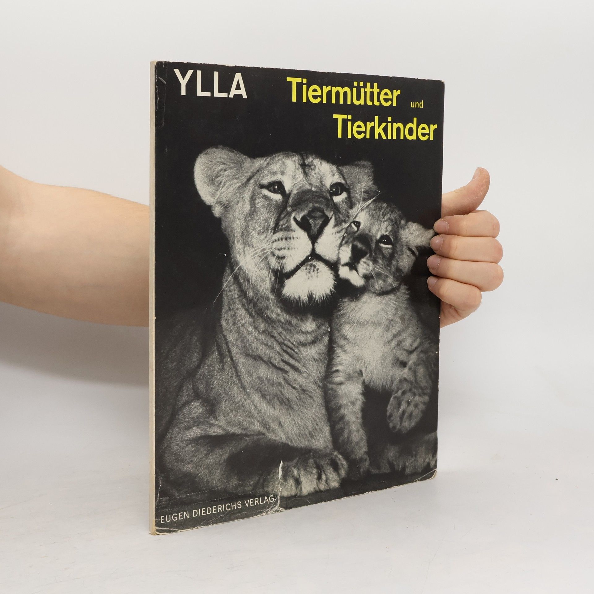 Tiermütter und Tierkinder