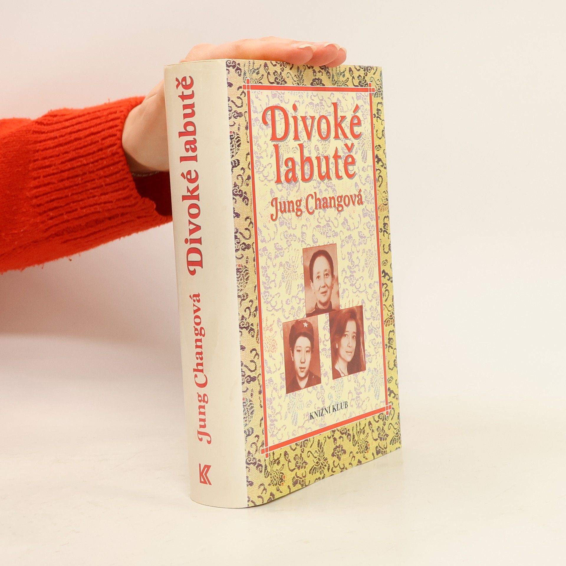 Yong Chang Divoké labutě