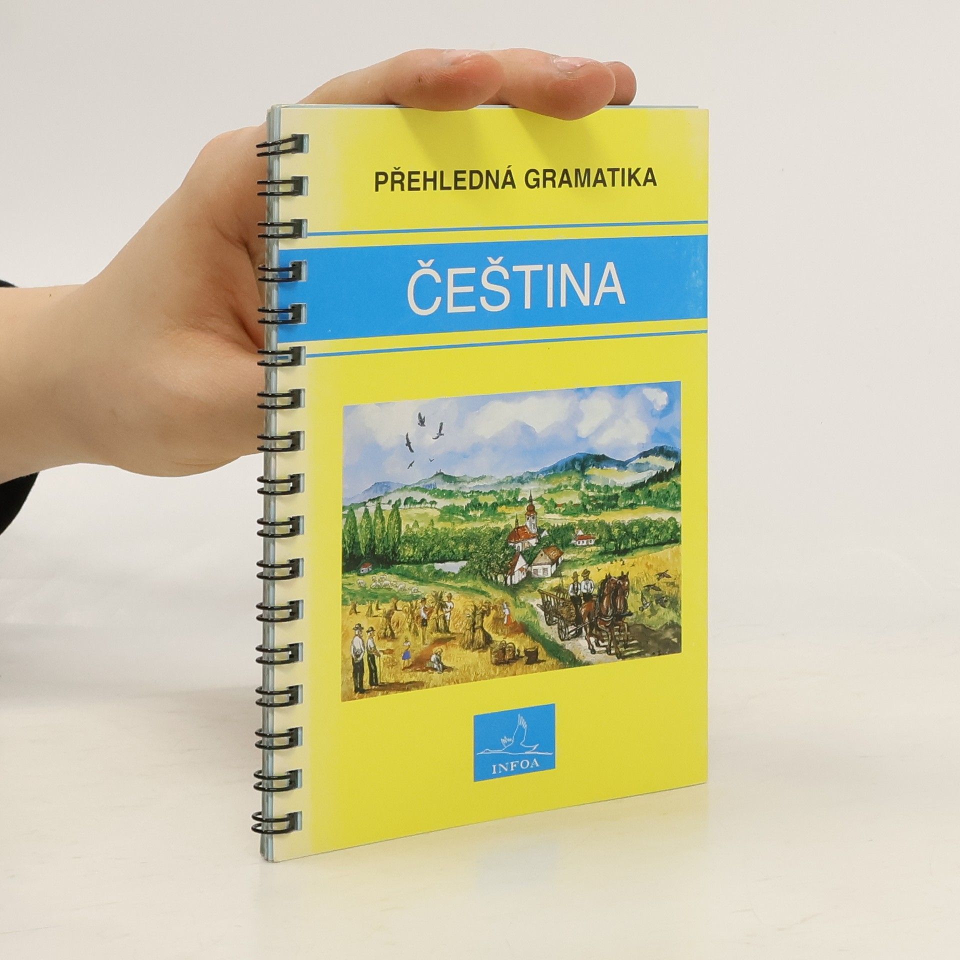 Martina Sobotíková Čeština. Přehledná gramatika