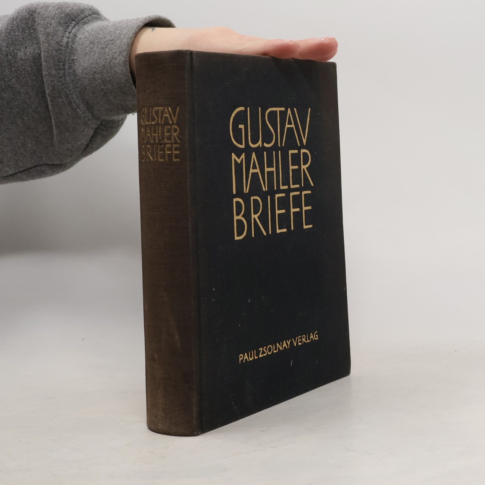 Gustav Mahler Briefe 1879-1911