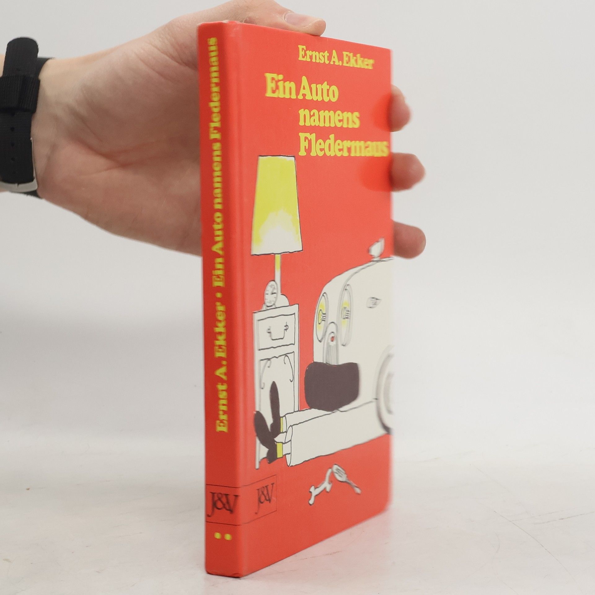 Ein Auto namens Fledermaus