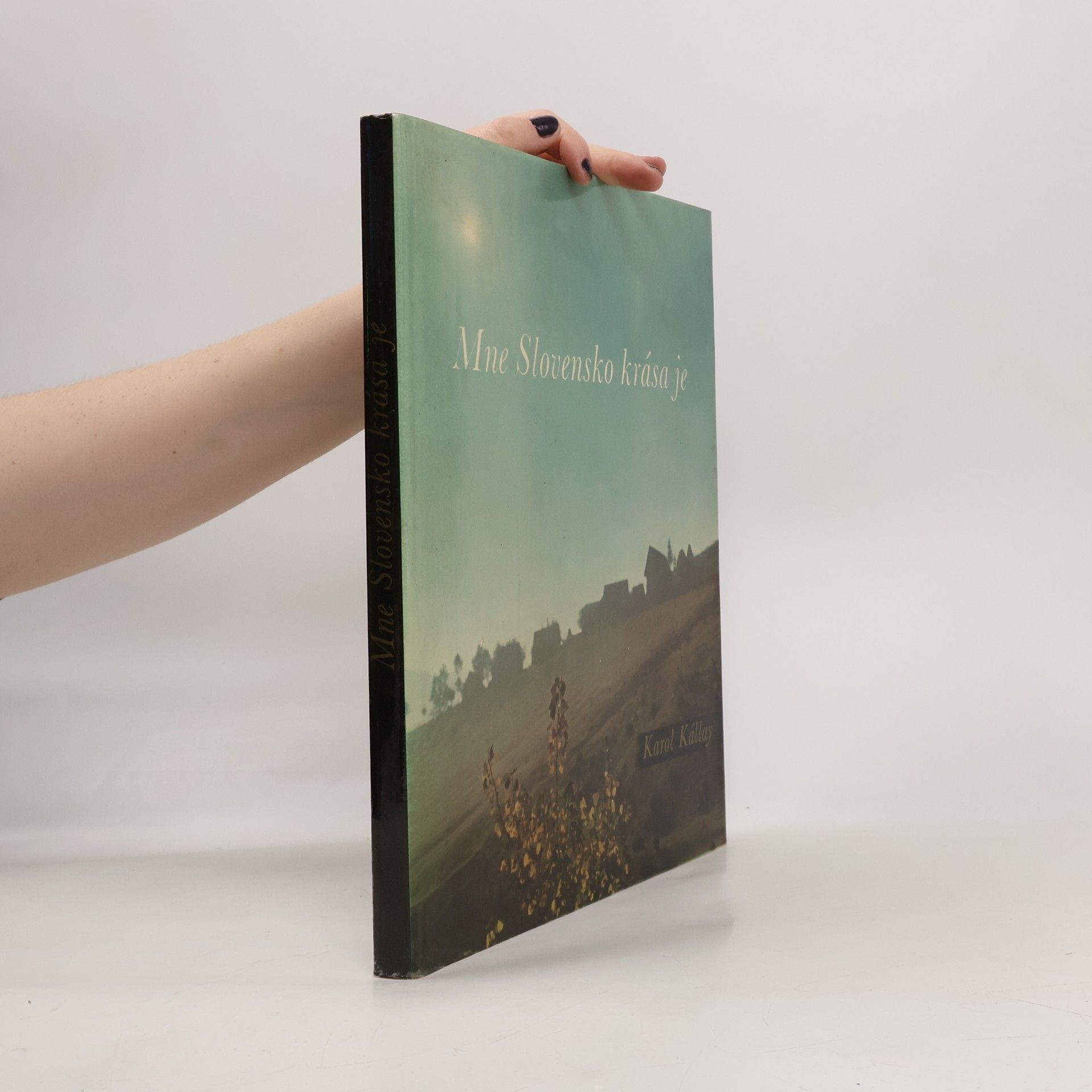 Karol Kállay Mne Slovensko krása je