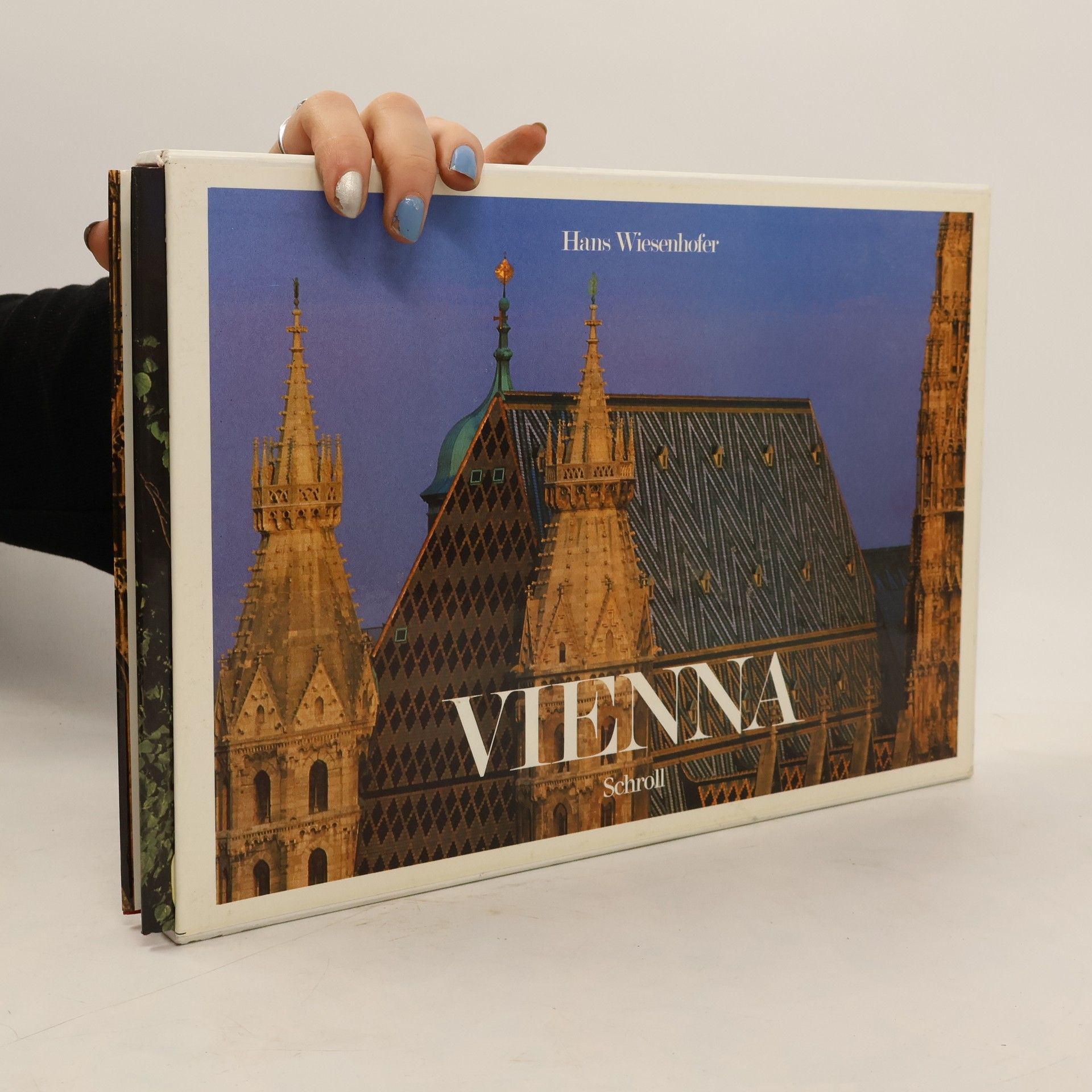 Vienna: Impressions of a Dream City (číslovaný výtisk)