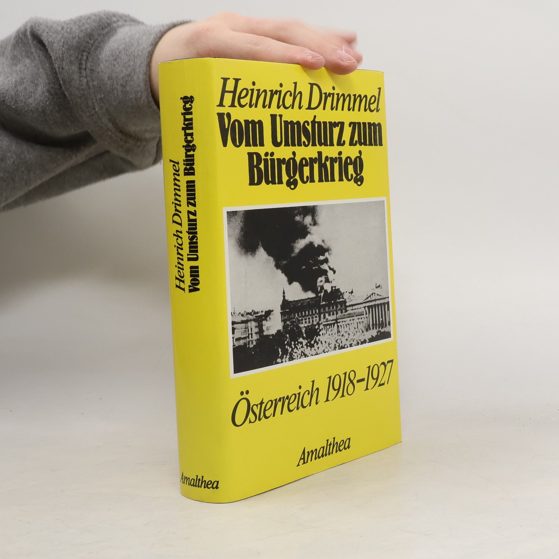 Heinrich Drimmel Vom Umsturz zum Bürgerkrieg