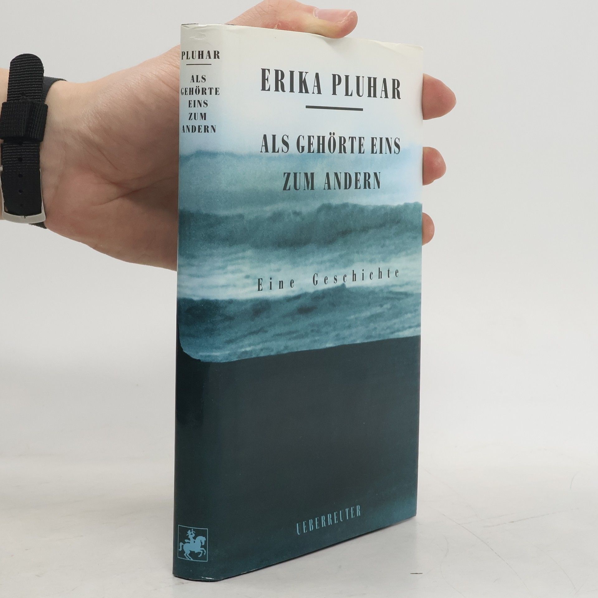 Erika Pluhar Als gehörte eins zum andern. Eine Geschichte