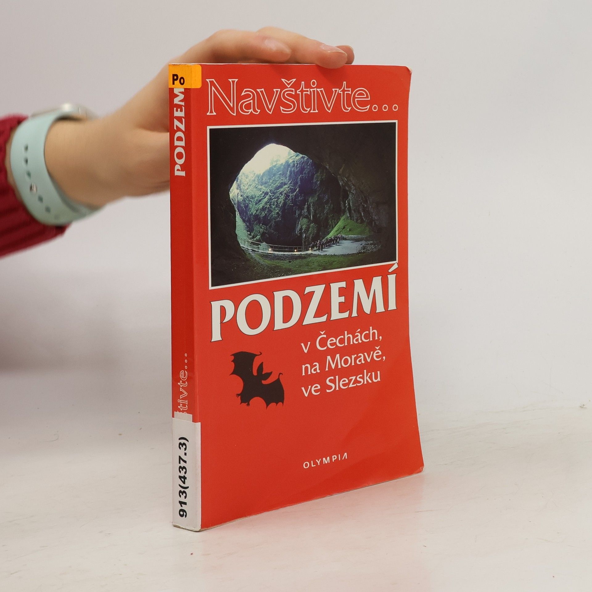 Podzemí v Čechách, na Moravě, ve Slezsku