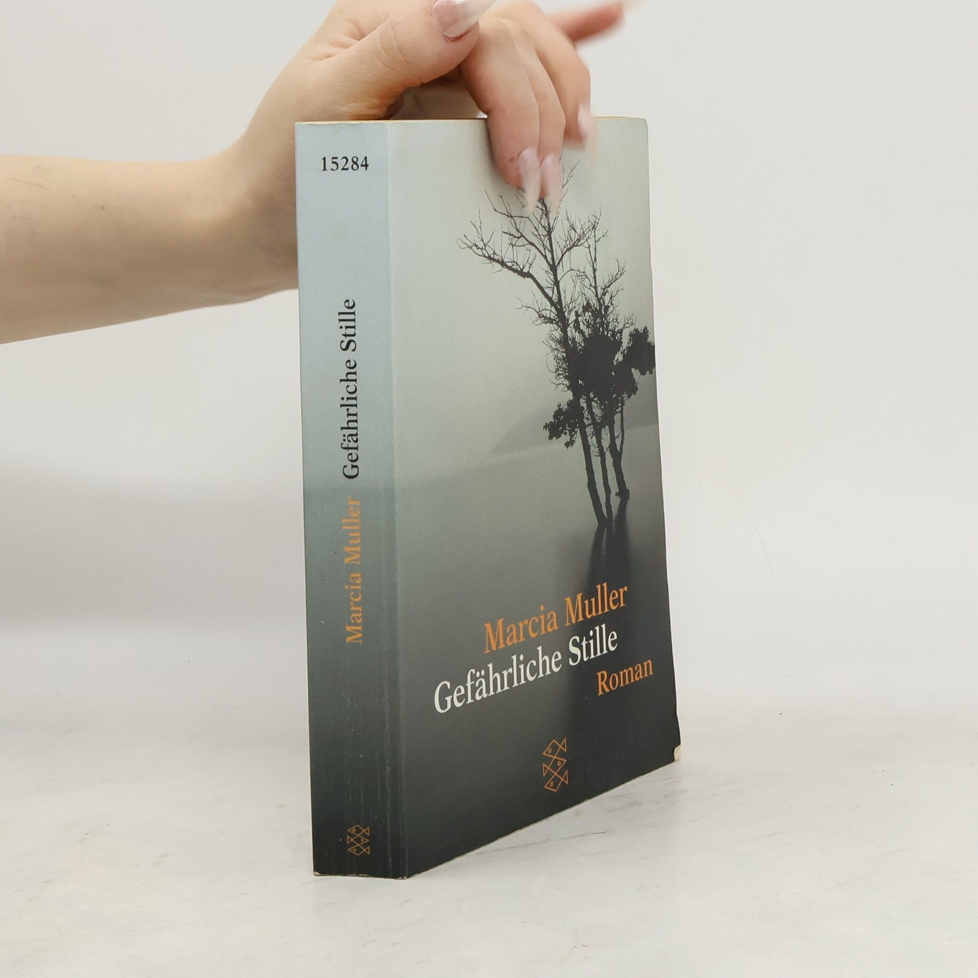Marcia Muller Gefährliche Stille