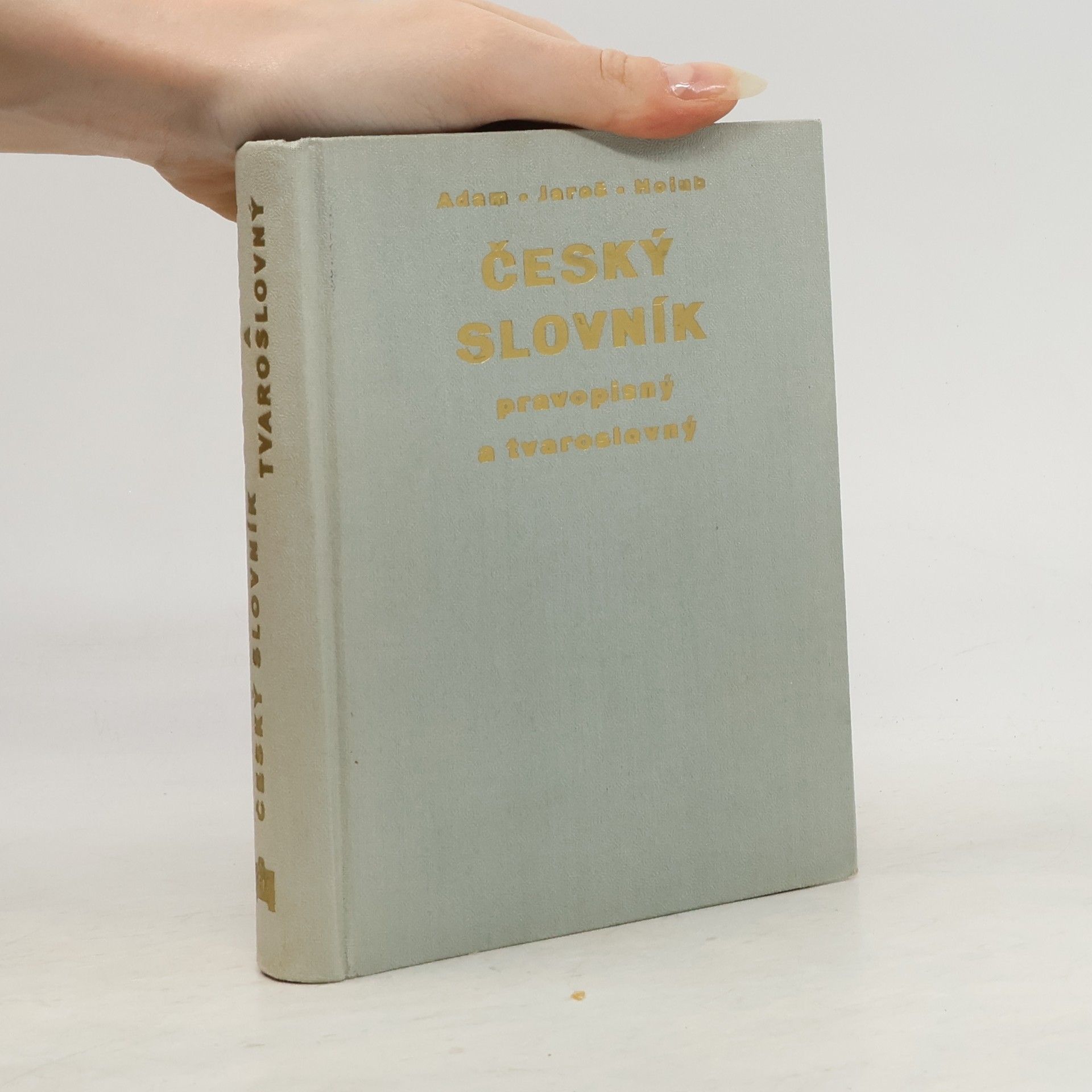 Český slovník pravopisný a tvaroslovný