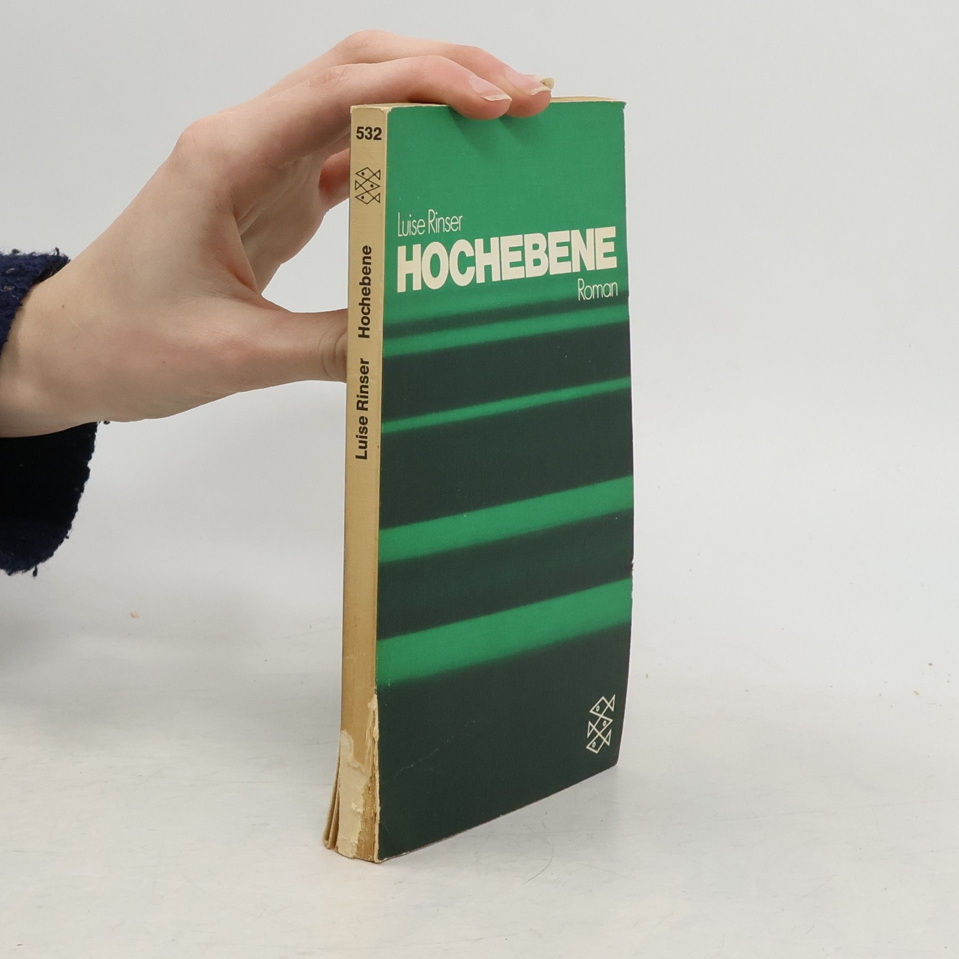 Luise Rinser Hochebene