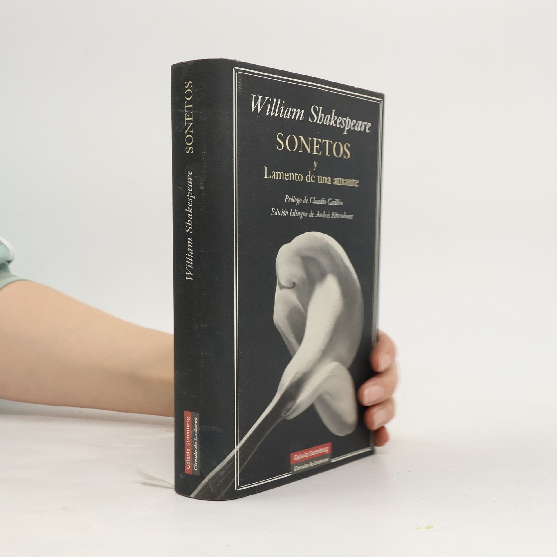 Sonetos y lamentos de una amante