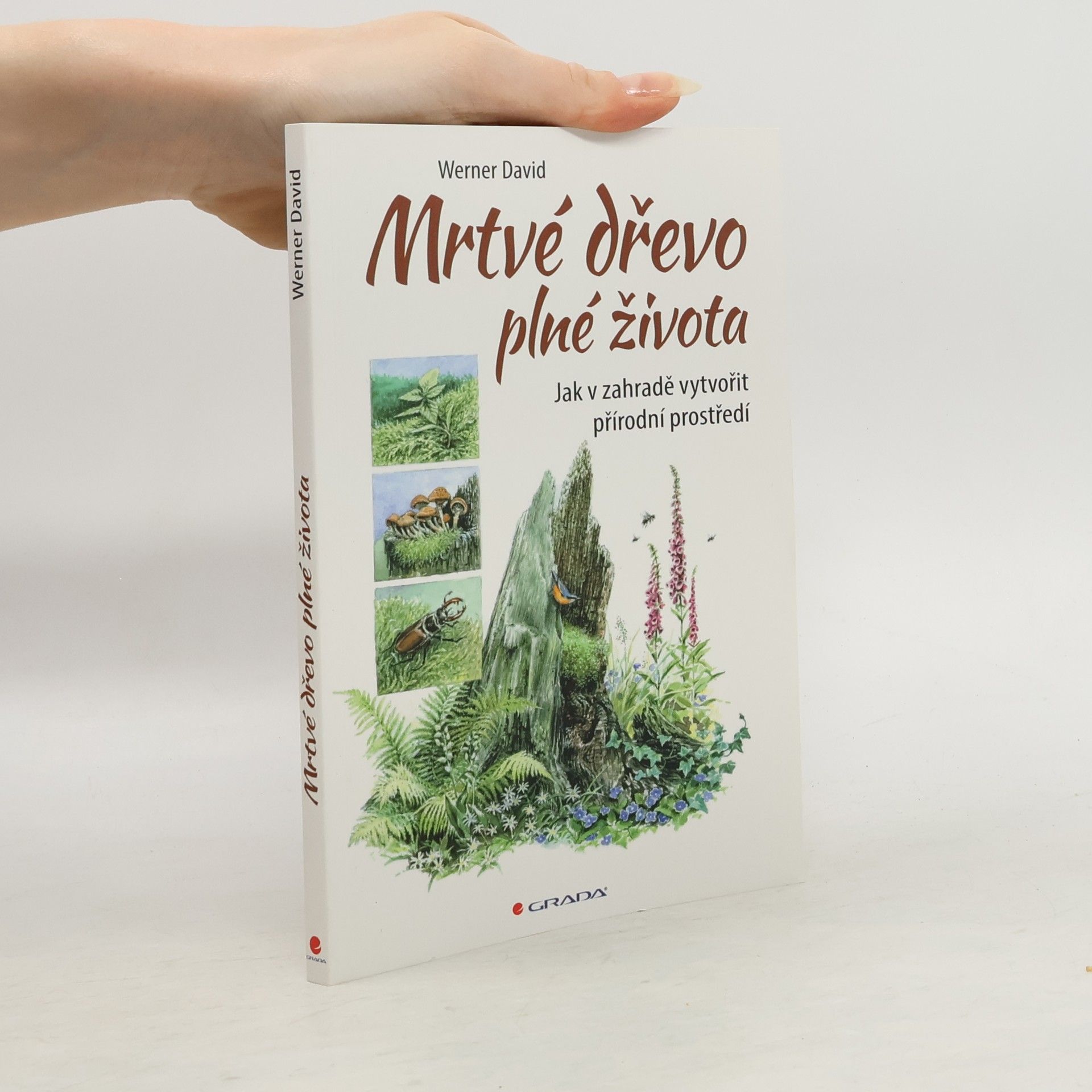 David Werner Mrtvé dřevo plné života