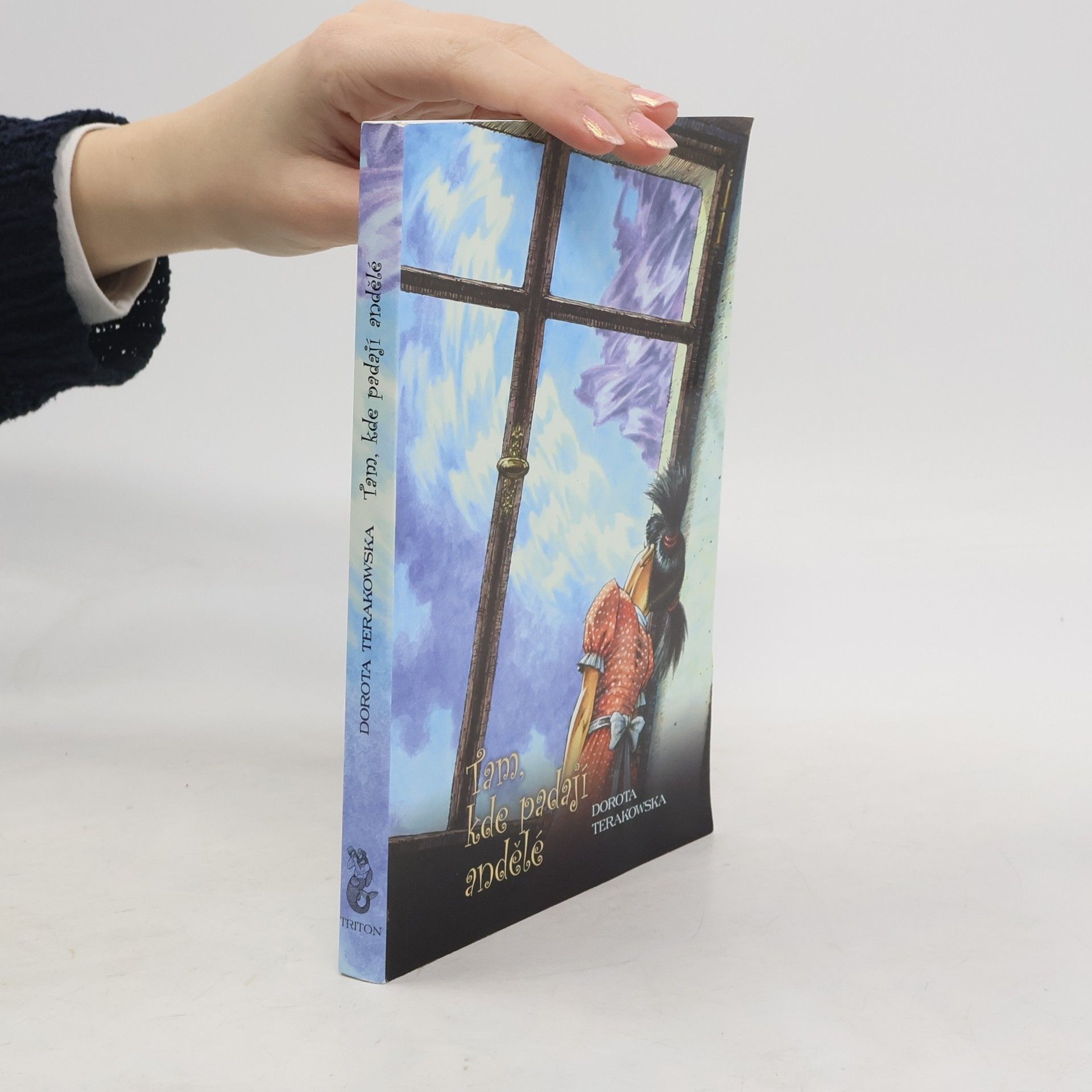 Dorota Terakowska Tam, kde padají andělé