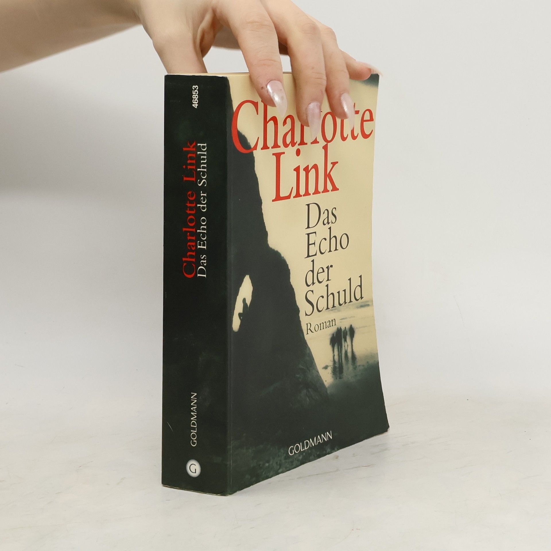 Charlotte Link Das Echo der Schuld