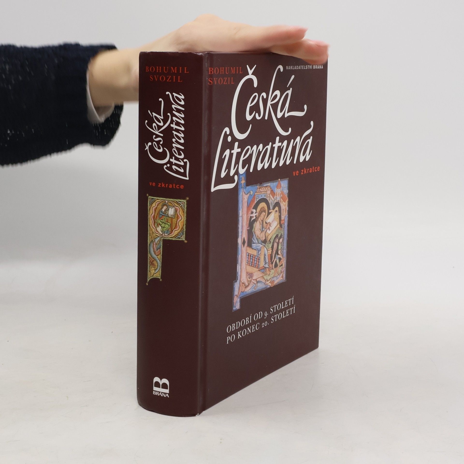 Česká literatura ve zkratce. Období od 9. století po konec 20. století