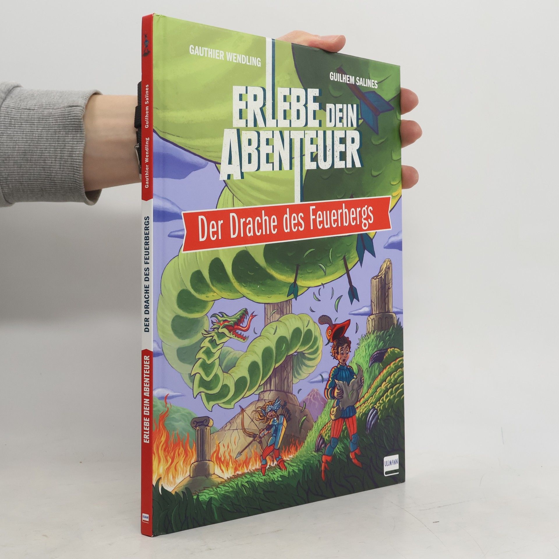 Der Drache des Feuerbergs