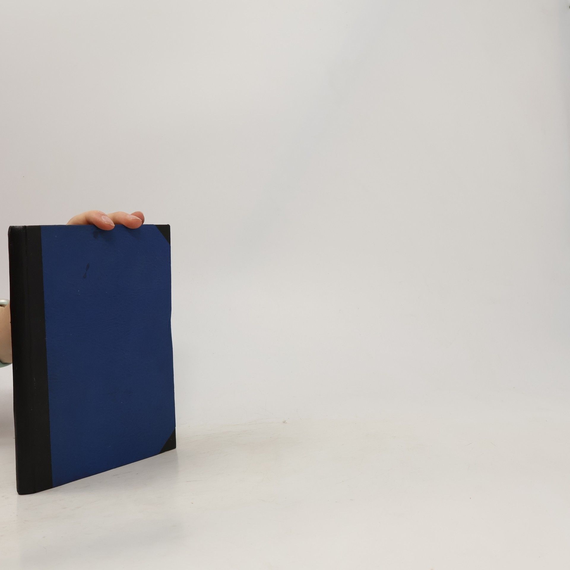 Collectif d'auteurs Mistr Petr Pleticha