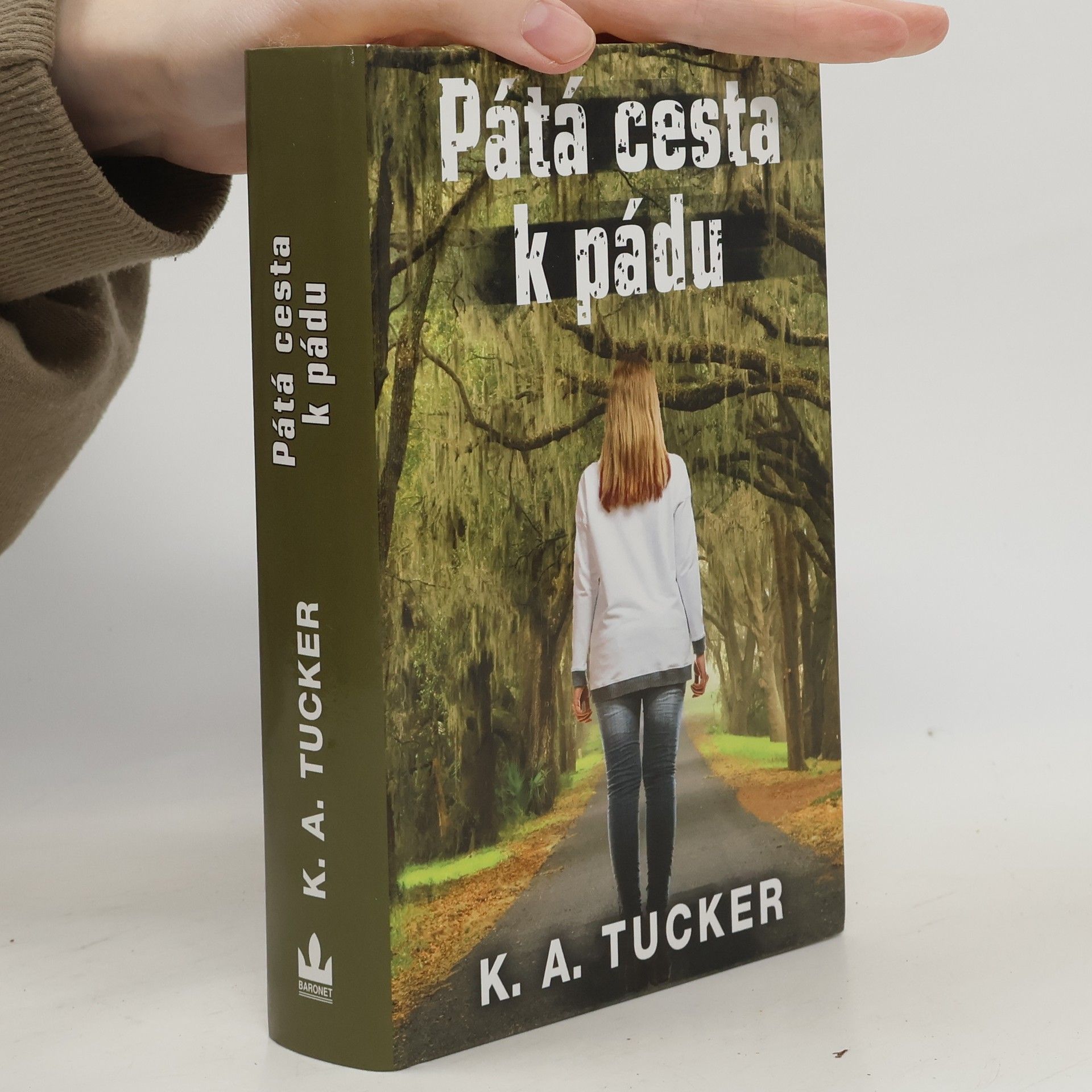K. A. Kathleen A. Tucker Pátá cesta k pádu. Deset malých nadechnutí 4