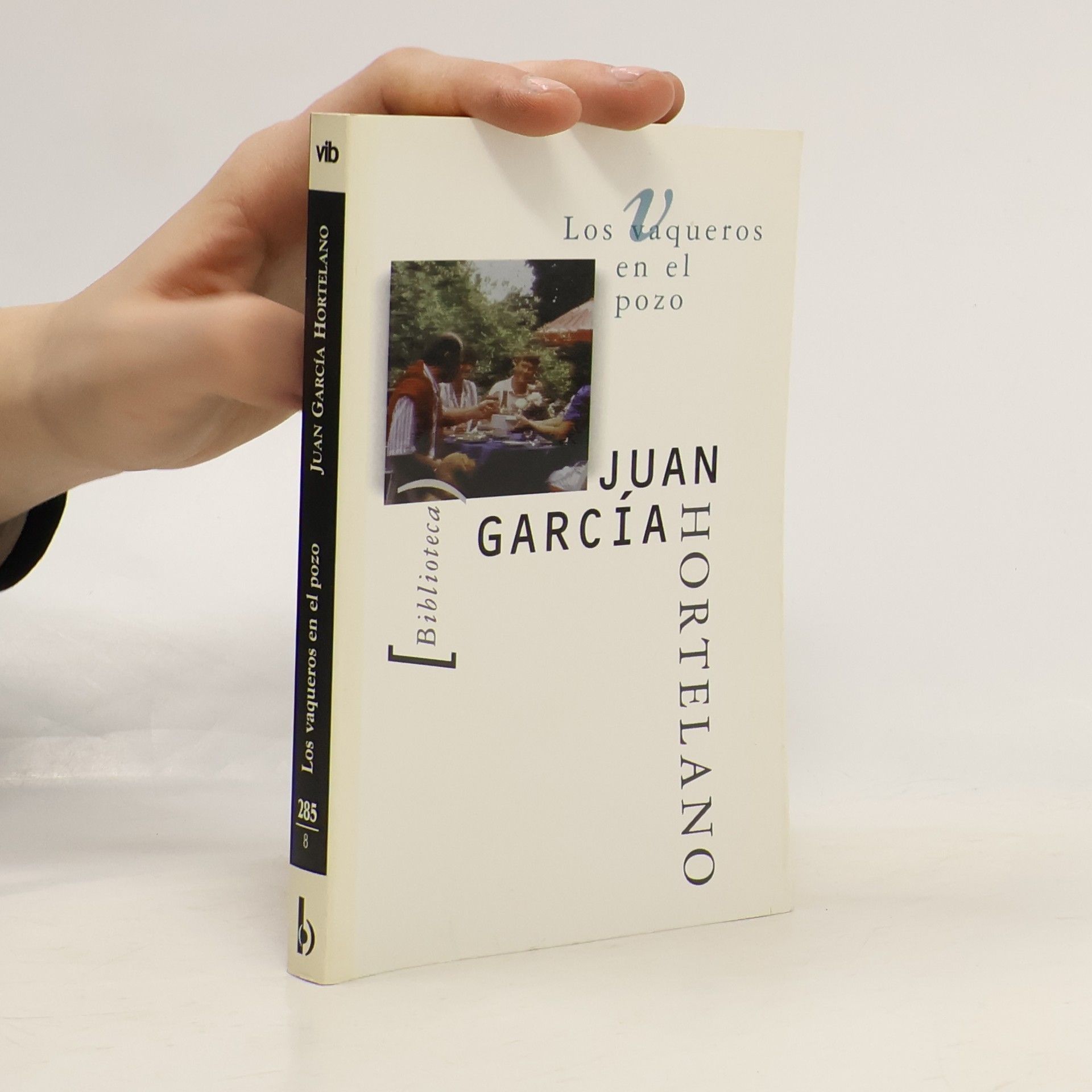 Juan García Hortelano Los vaqueros en el pozo