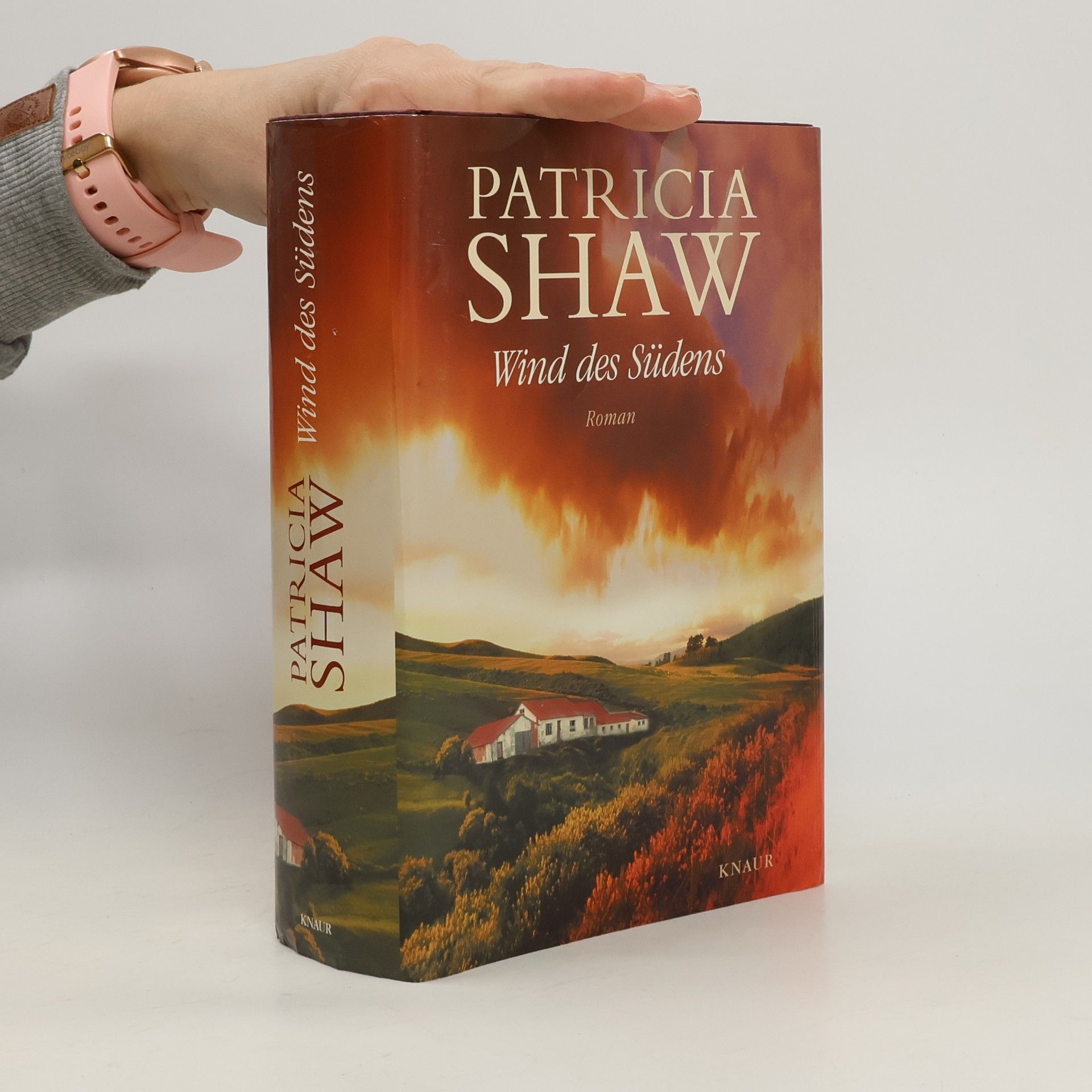 Patricia Shaw Wind des Südens
