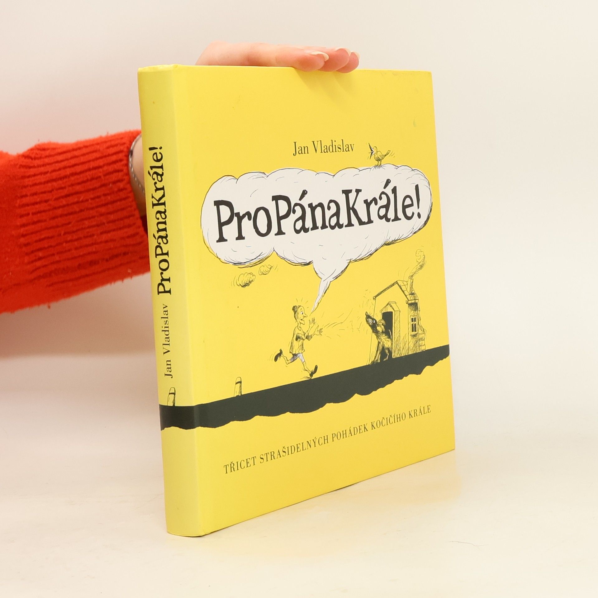 ProPánaKrále! : [třicet strašidelných pohádek kočičího krále]