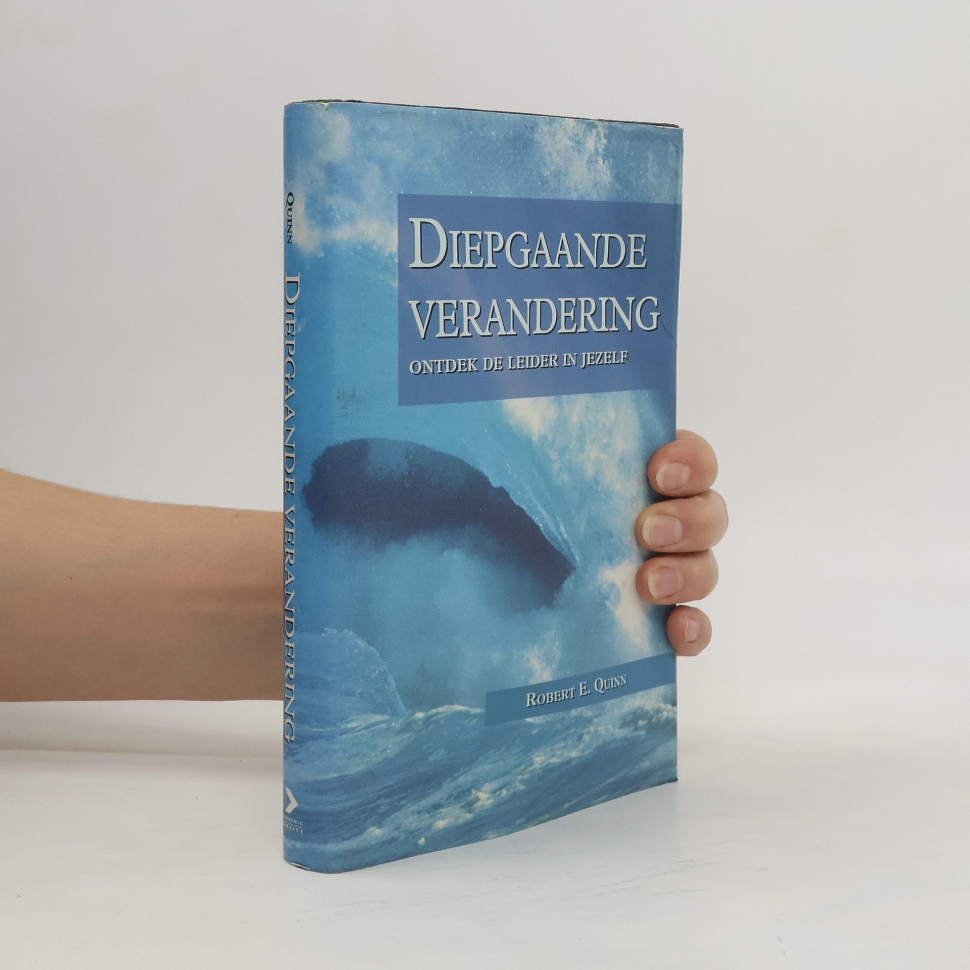 Robert Edward Quinn Academic Service economie en bedrijfskunde: Diepgaande verandering