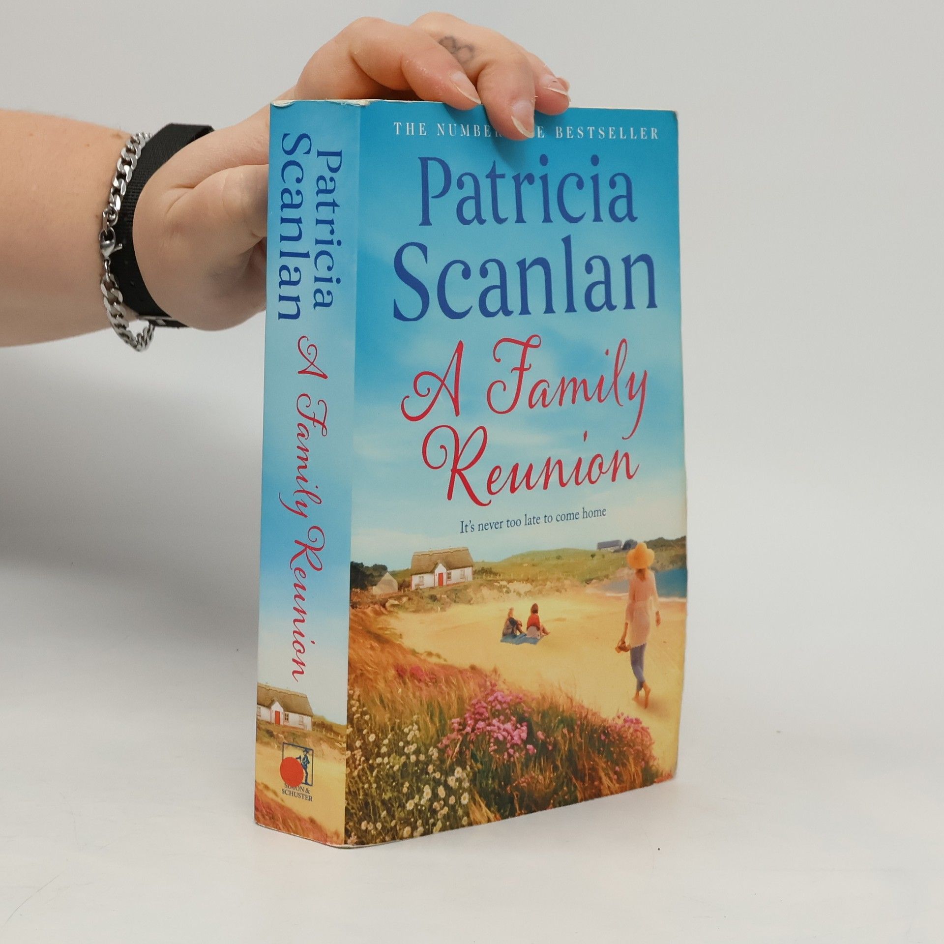 Patricia Scanlan A Family Reunion