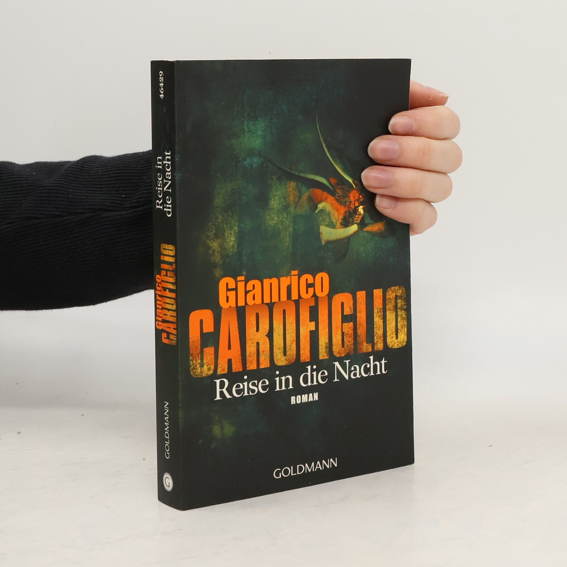 Gianrico Carofiglio Reise in die Nacht