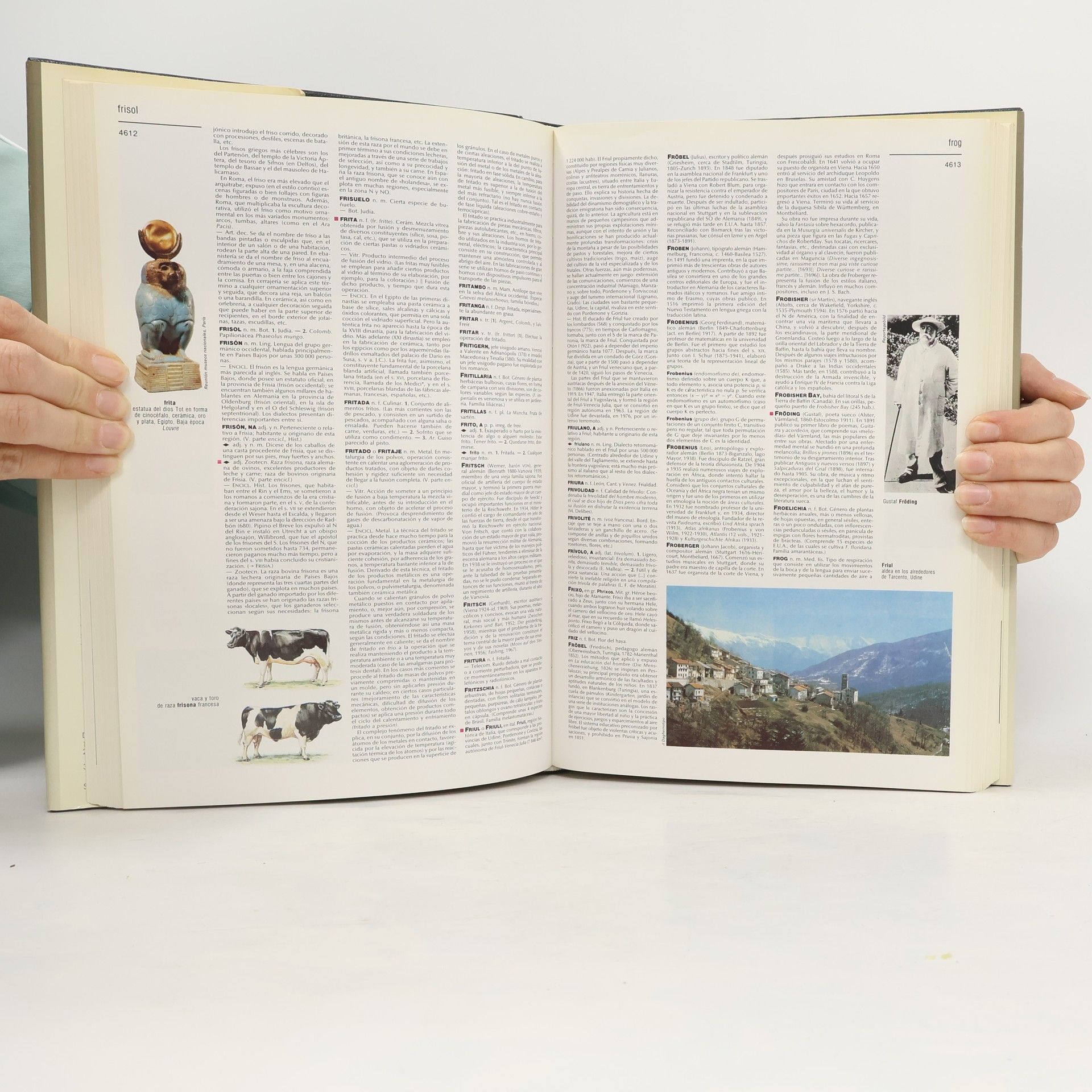 Autorenkollektiv Gran enciclopedia Larousse
