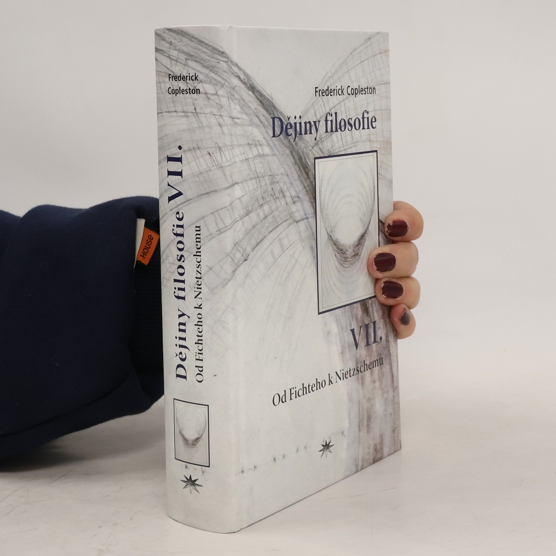 Dějiny filosofie. VII., Od Fichteho k Nietzschemu