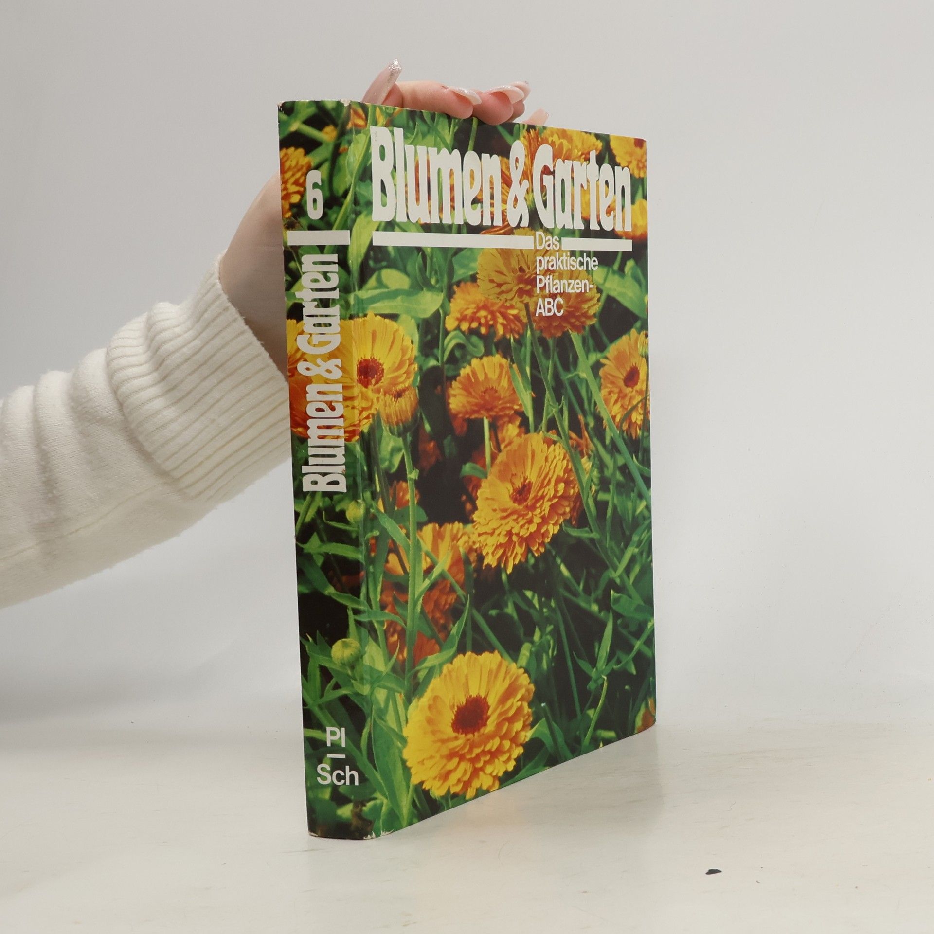 Collectif d'auteurs Blumen & Garten 6