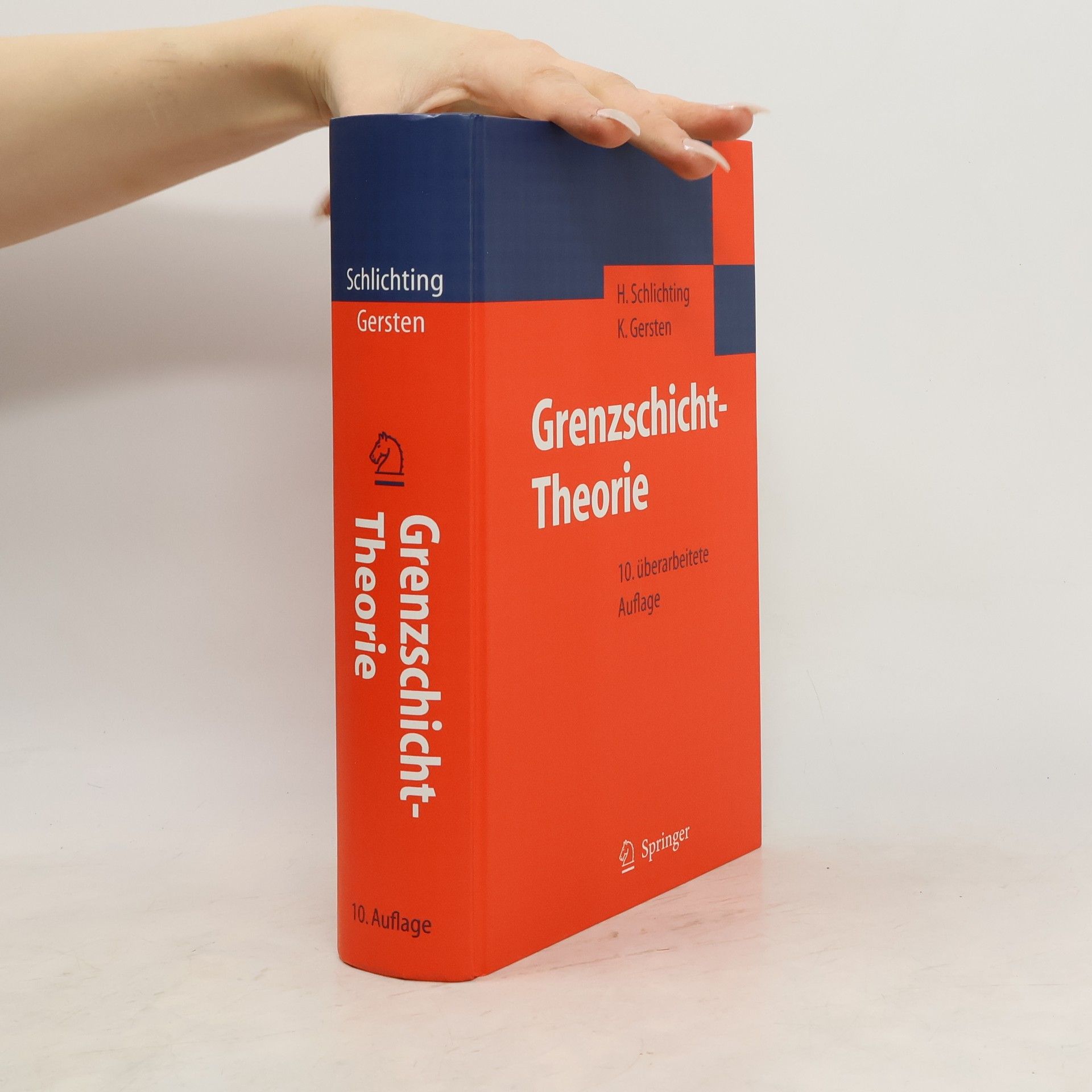 Grenzschicht-Theorie: überarbeitete Auflage