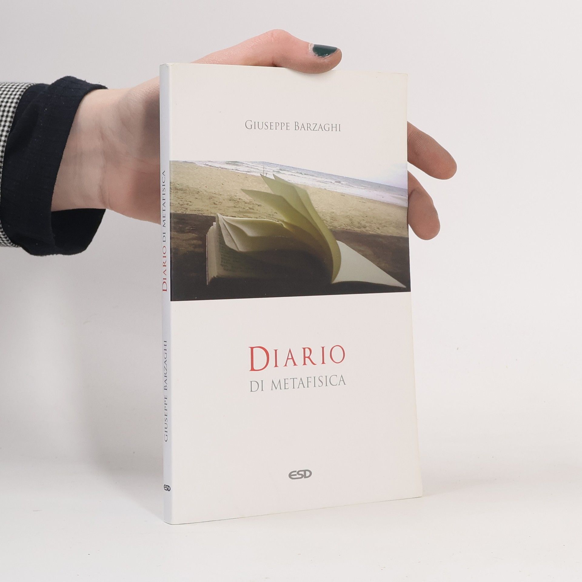 Giuseppe Barzaghi Diario di metafisica