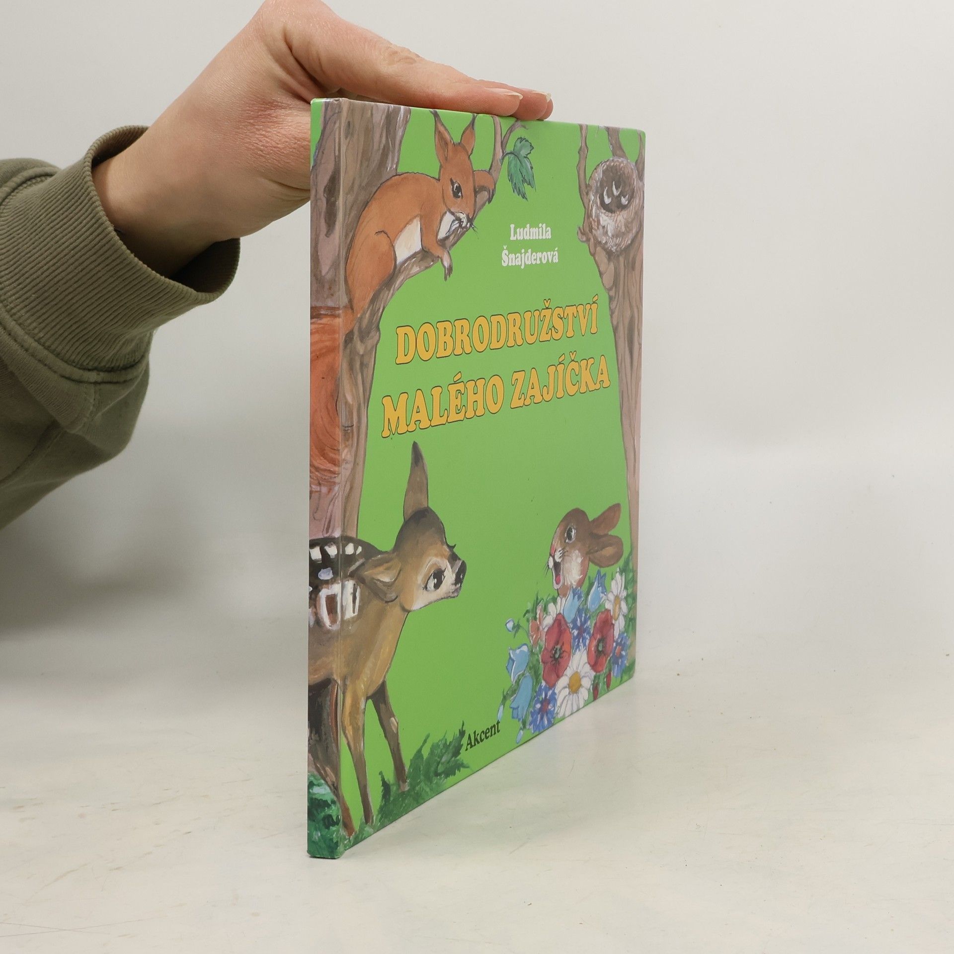 Ludmila Šnajderová Dobrodružství malého zajíčka